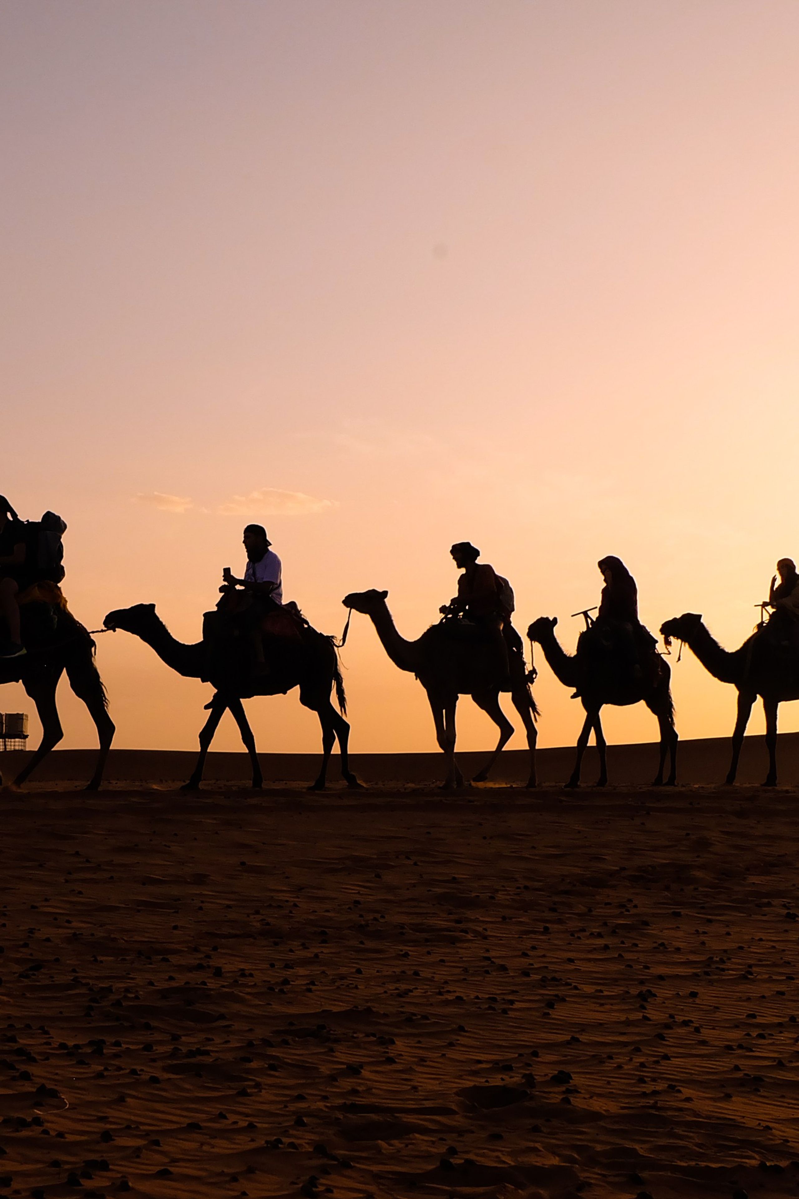 Путешествия