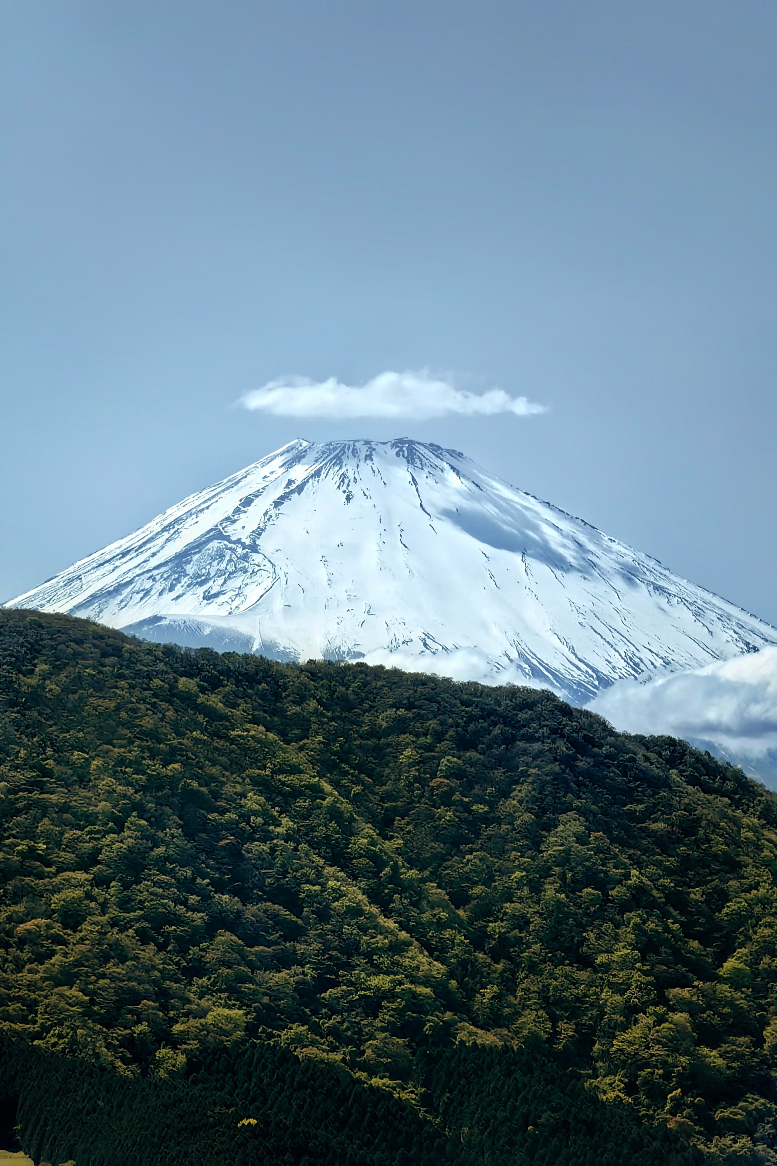 Путешествия