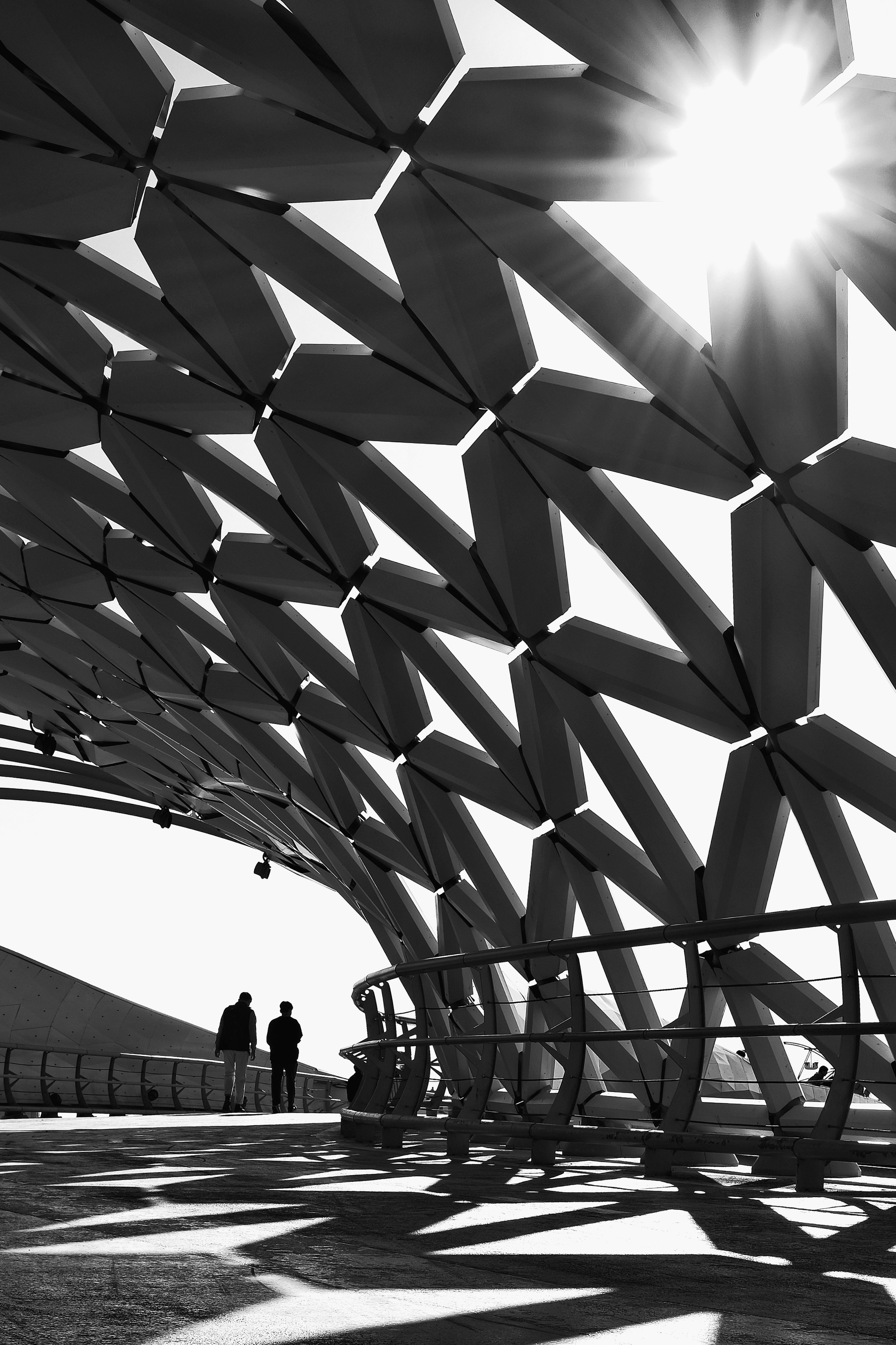 Путешествия