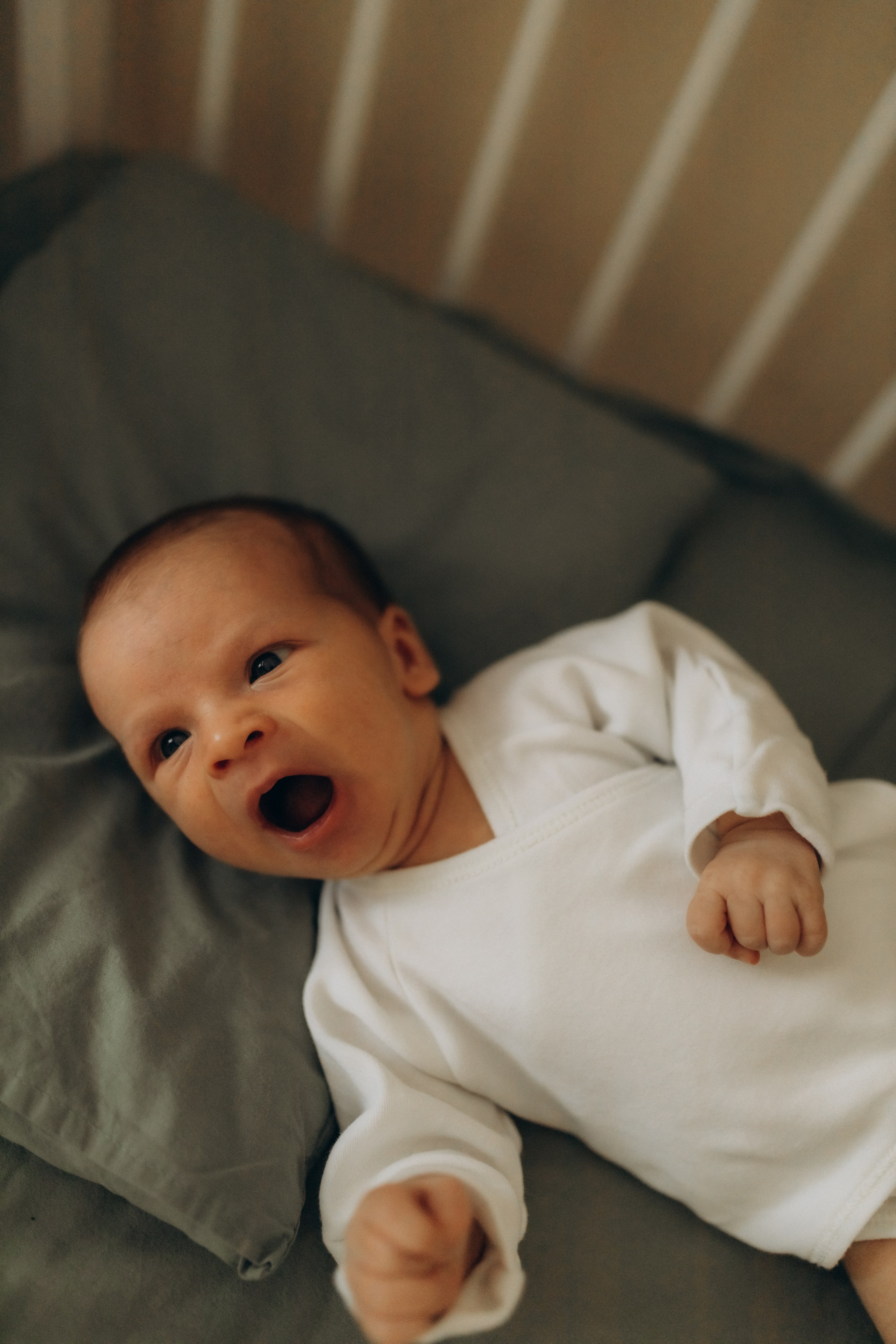 Галерея. Семейный и домашний фотограф Советский Югорск Екатерина Цыганок