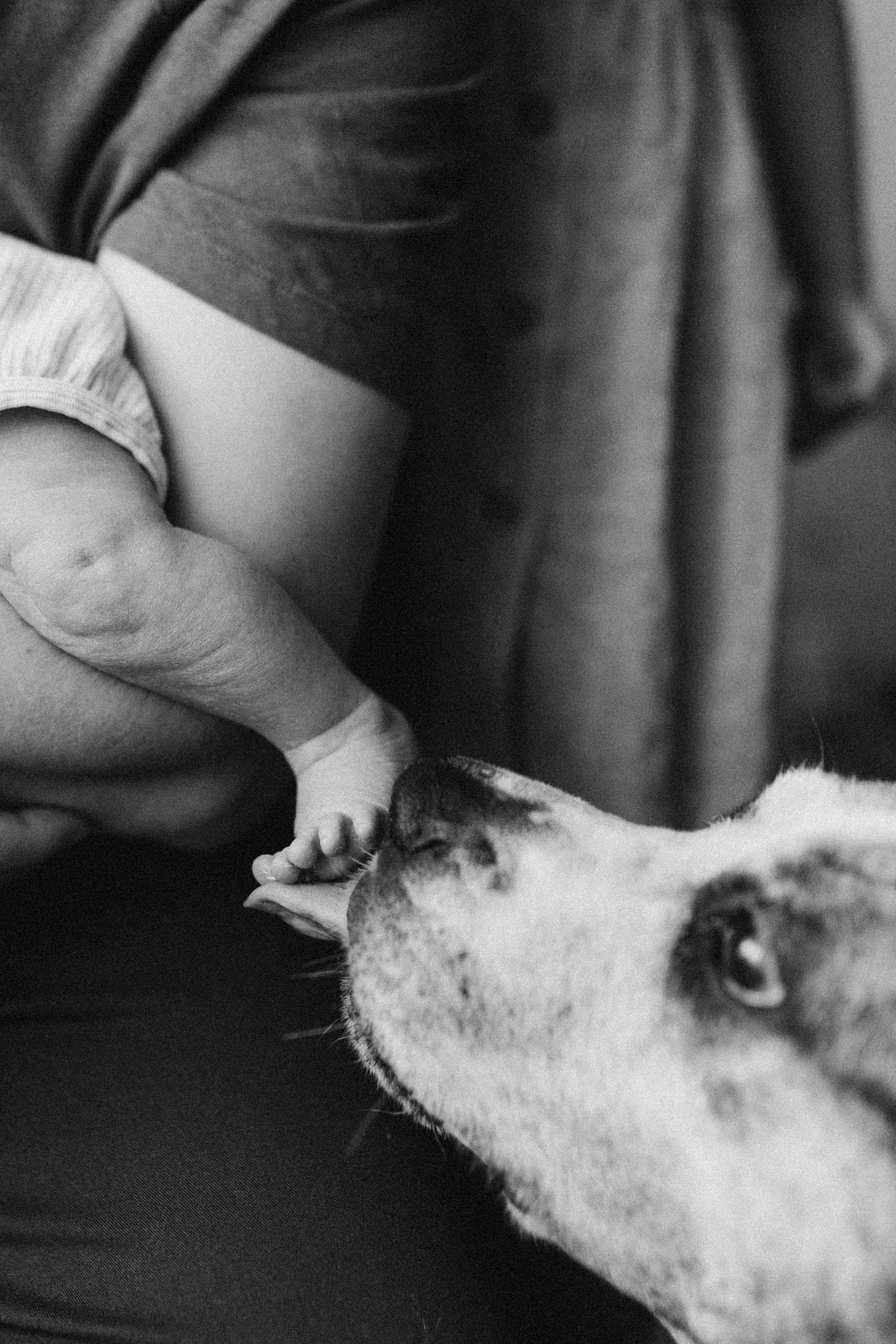 Галерея. Семейный и домашний фотограф Советский Югорск Екатерина Цыганок