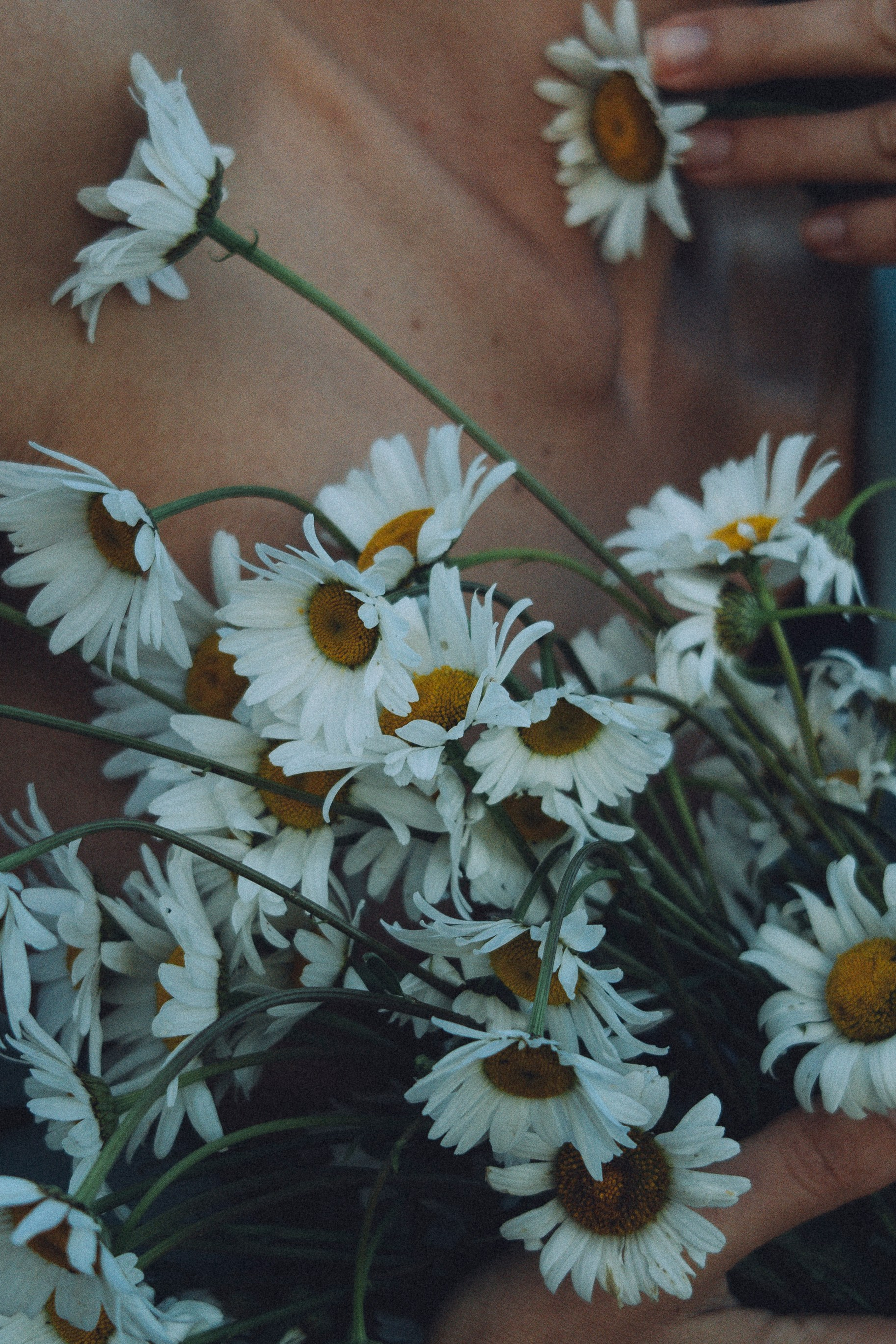 Женский портрет