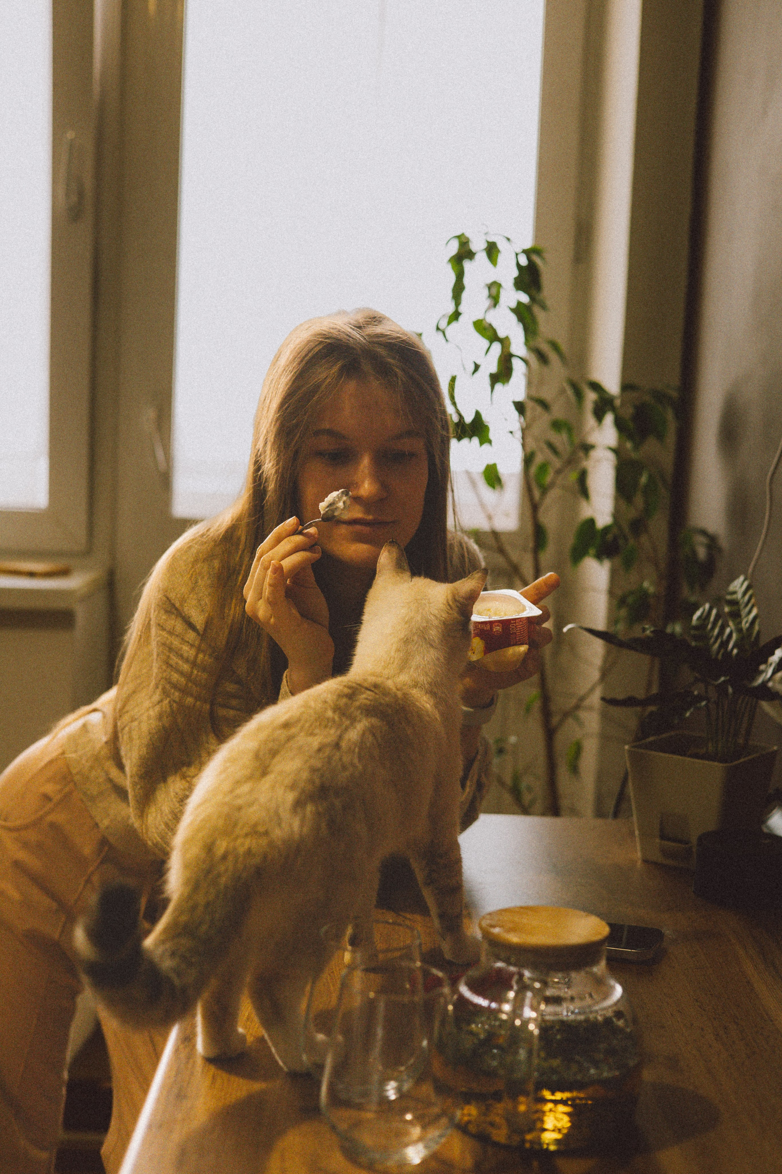 Домашняя съёмка