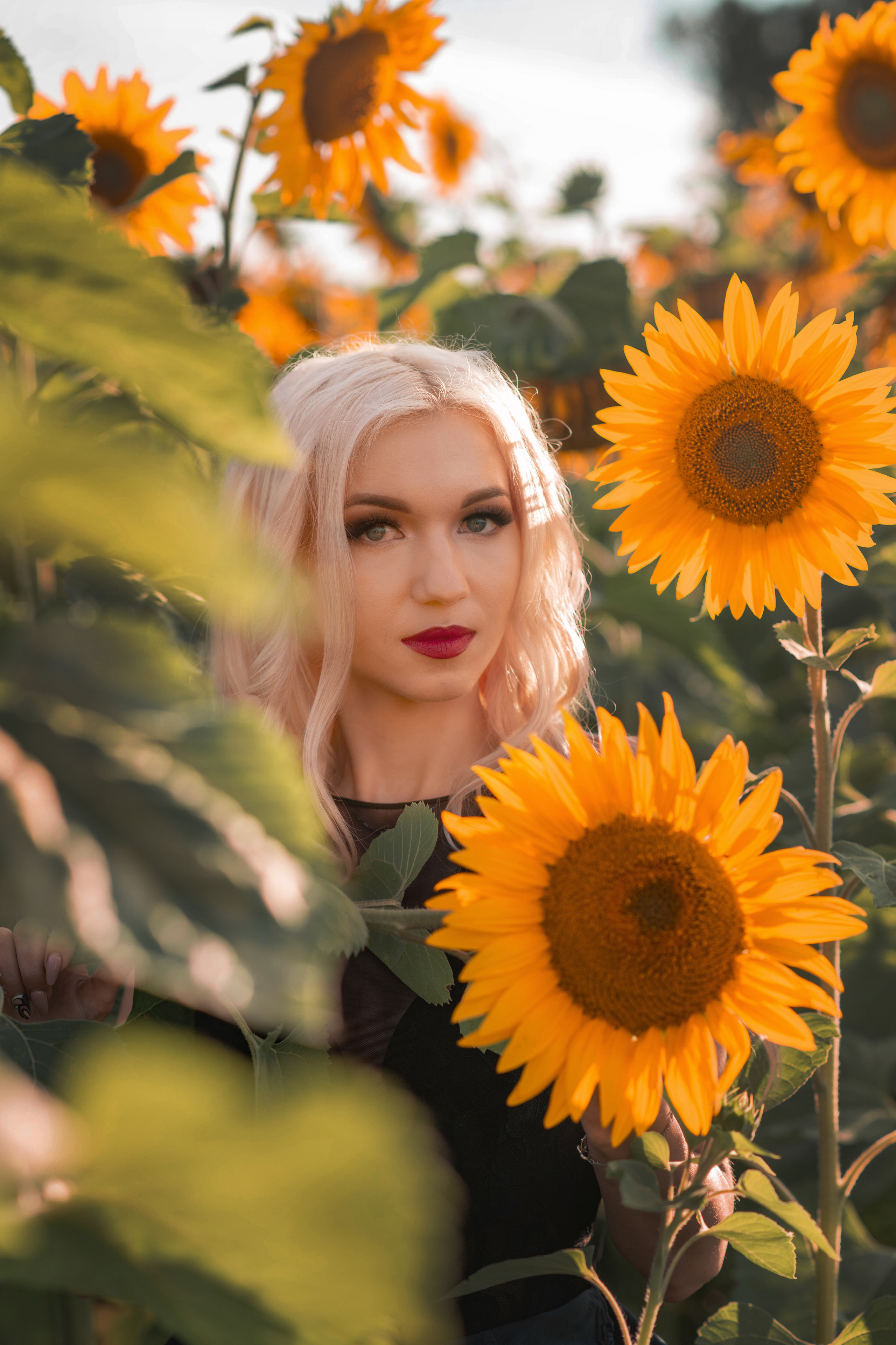 в поле с подсолнухами