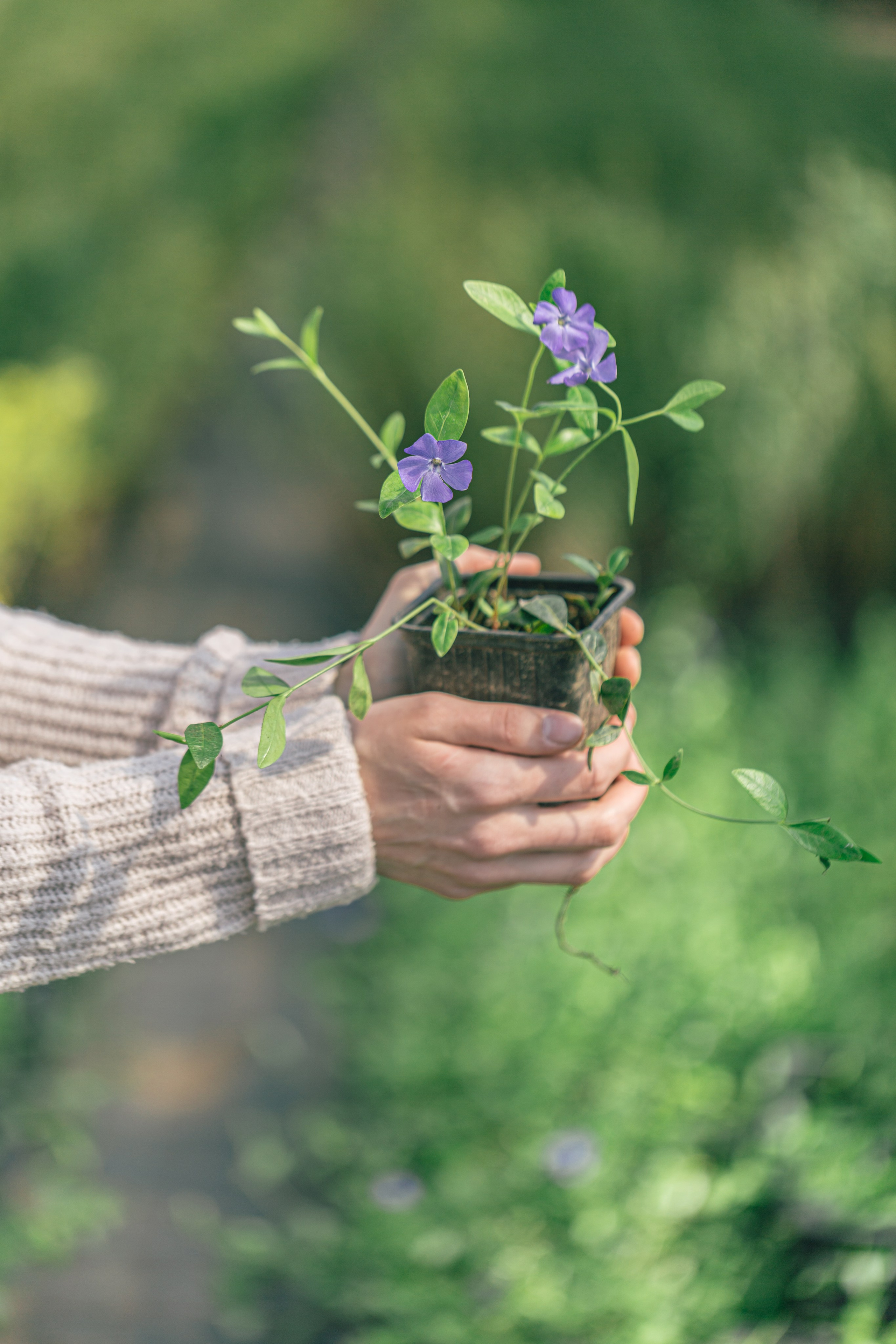 Блог. Кристина Бирон — контент-креатор: Reels, фото/видео для бизнеса в СПб и Москве + AI-контент по РФ