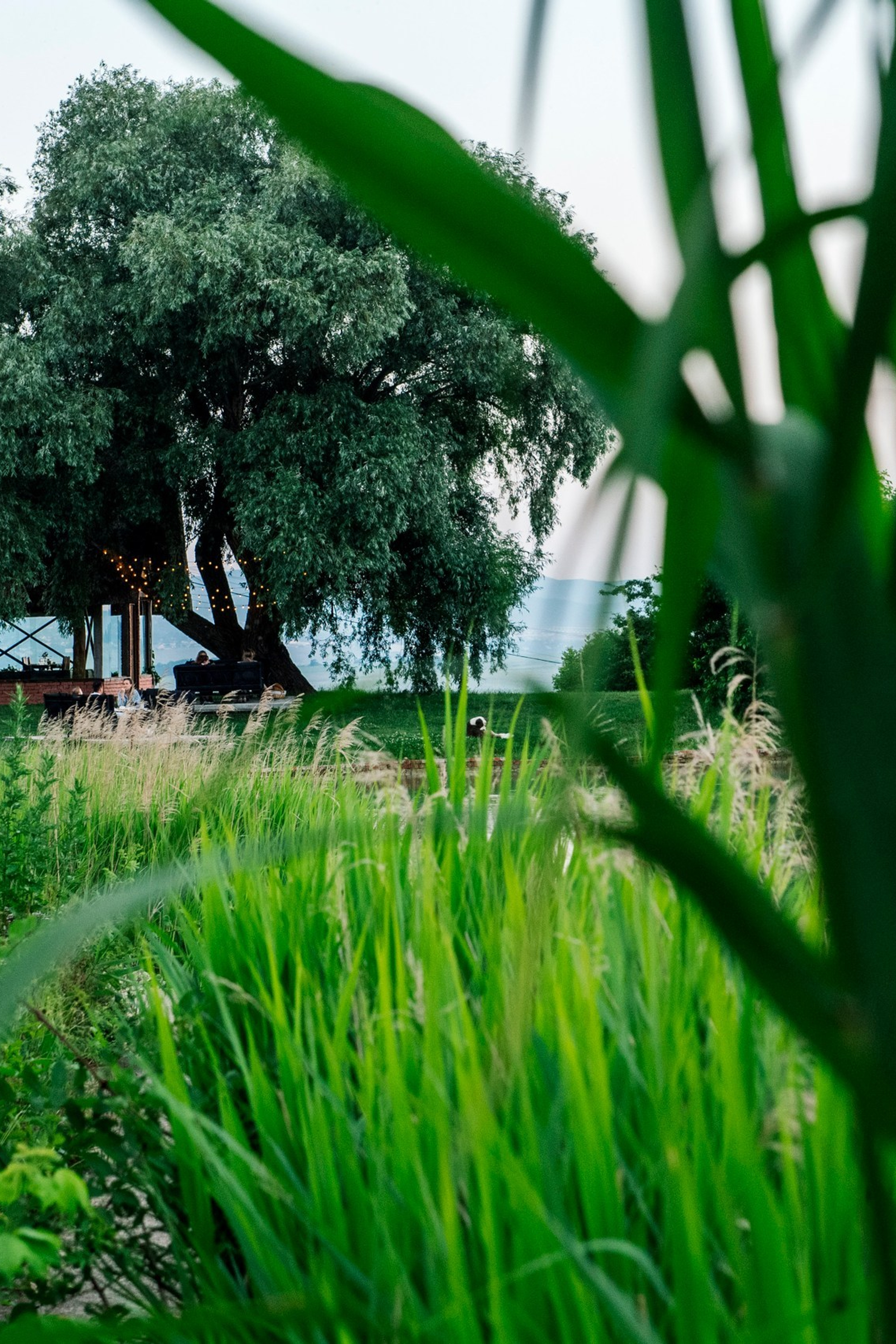 Отзывы клиентов Михаила Мордасова. Репортажный фотограф в Сочи — Михаил Мордасов