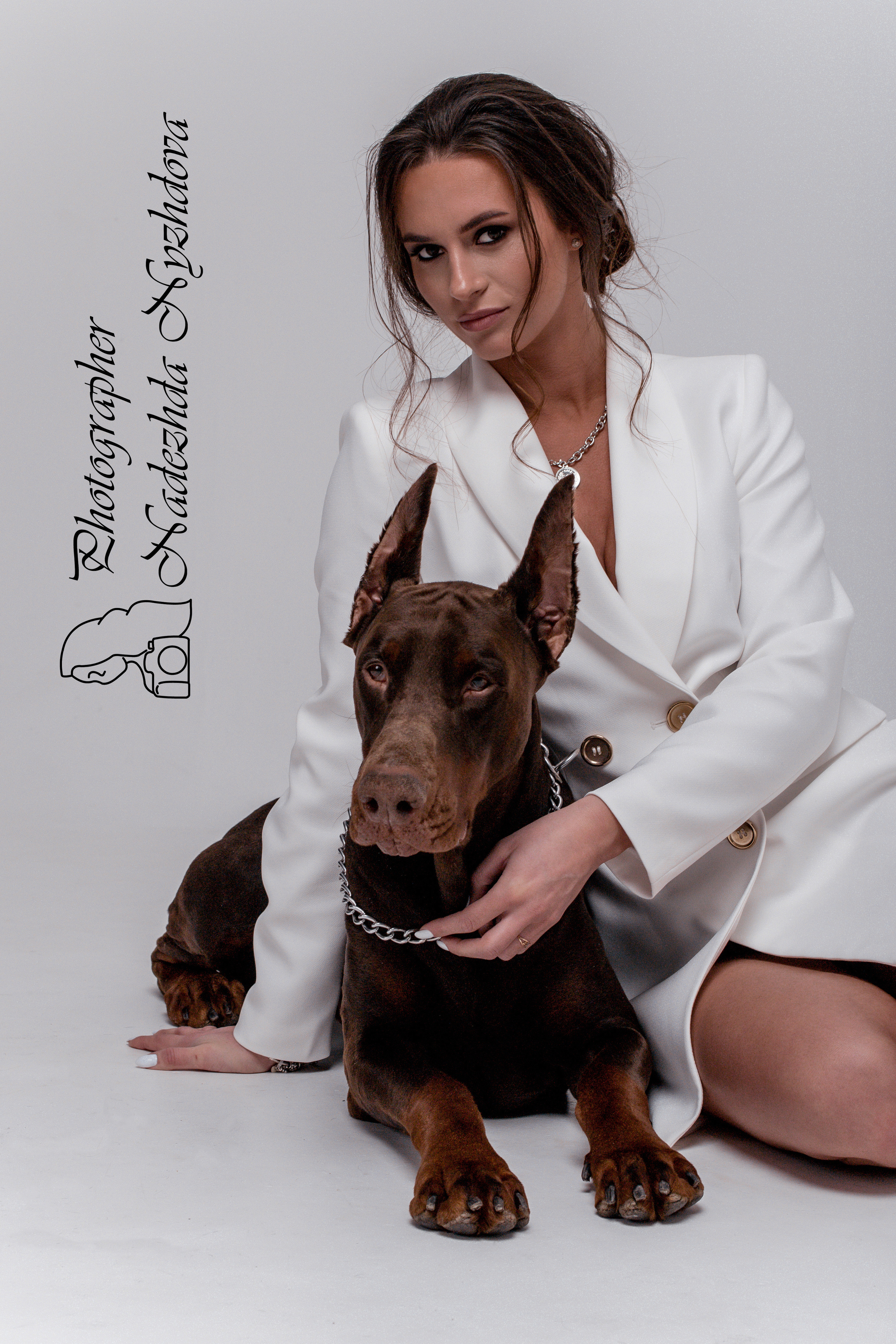 Доберман на циклораме