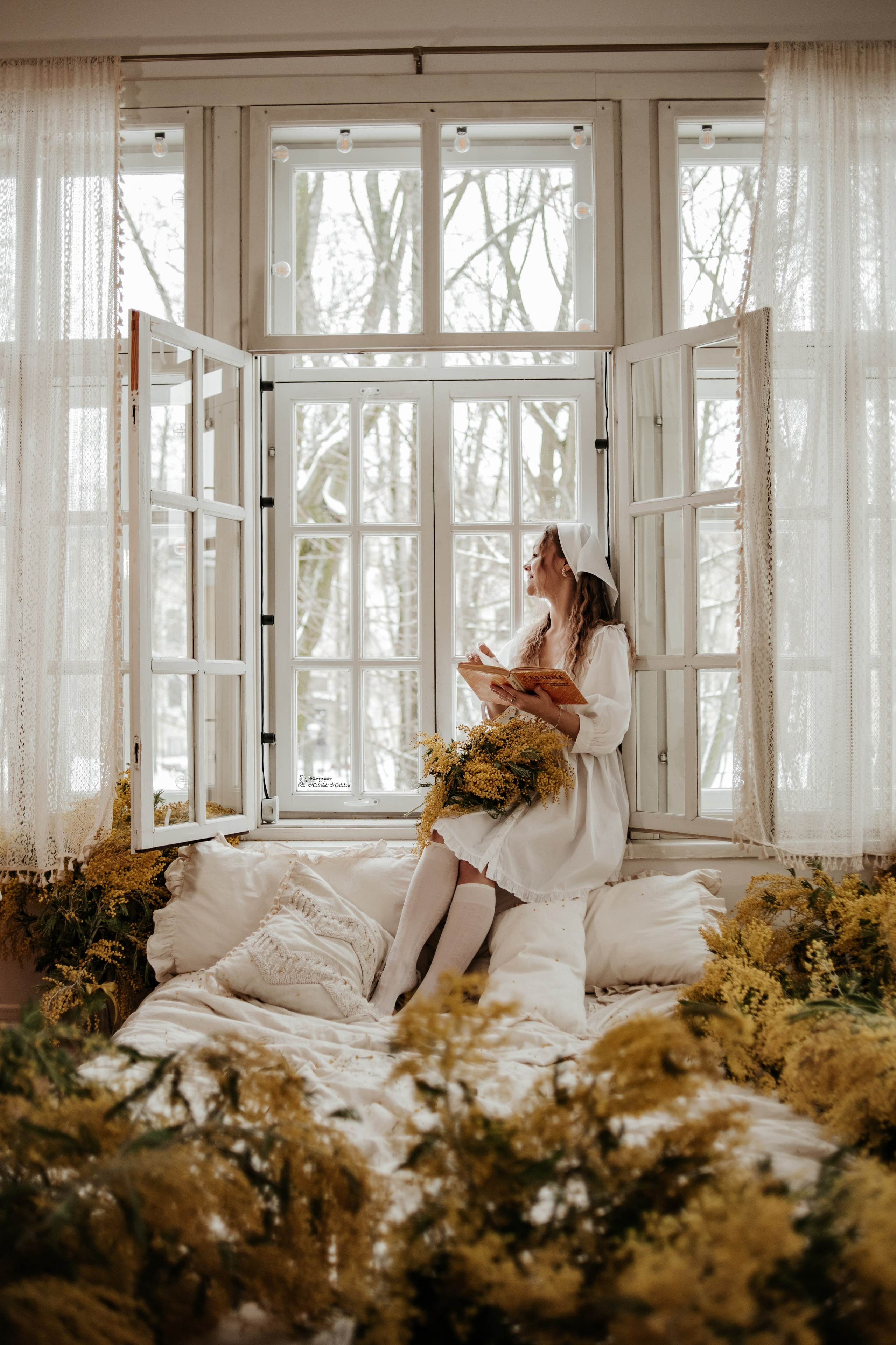 Снежная мимоза на балконе ♡