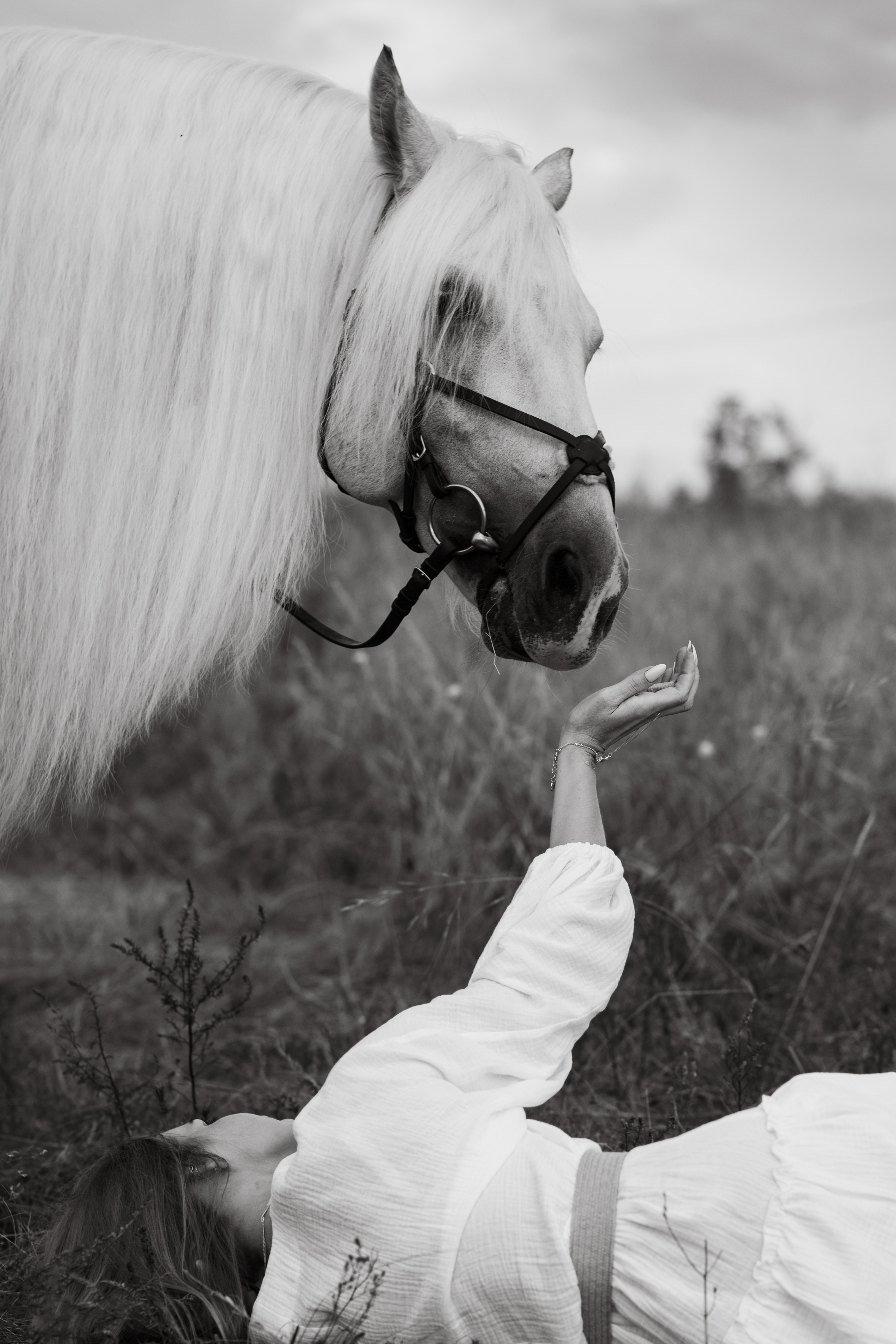 Елена и Вымпел