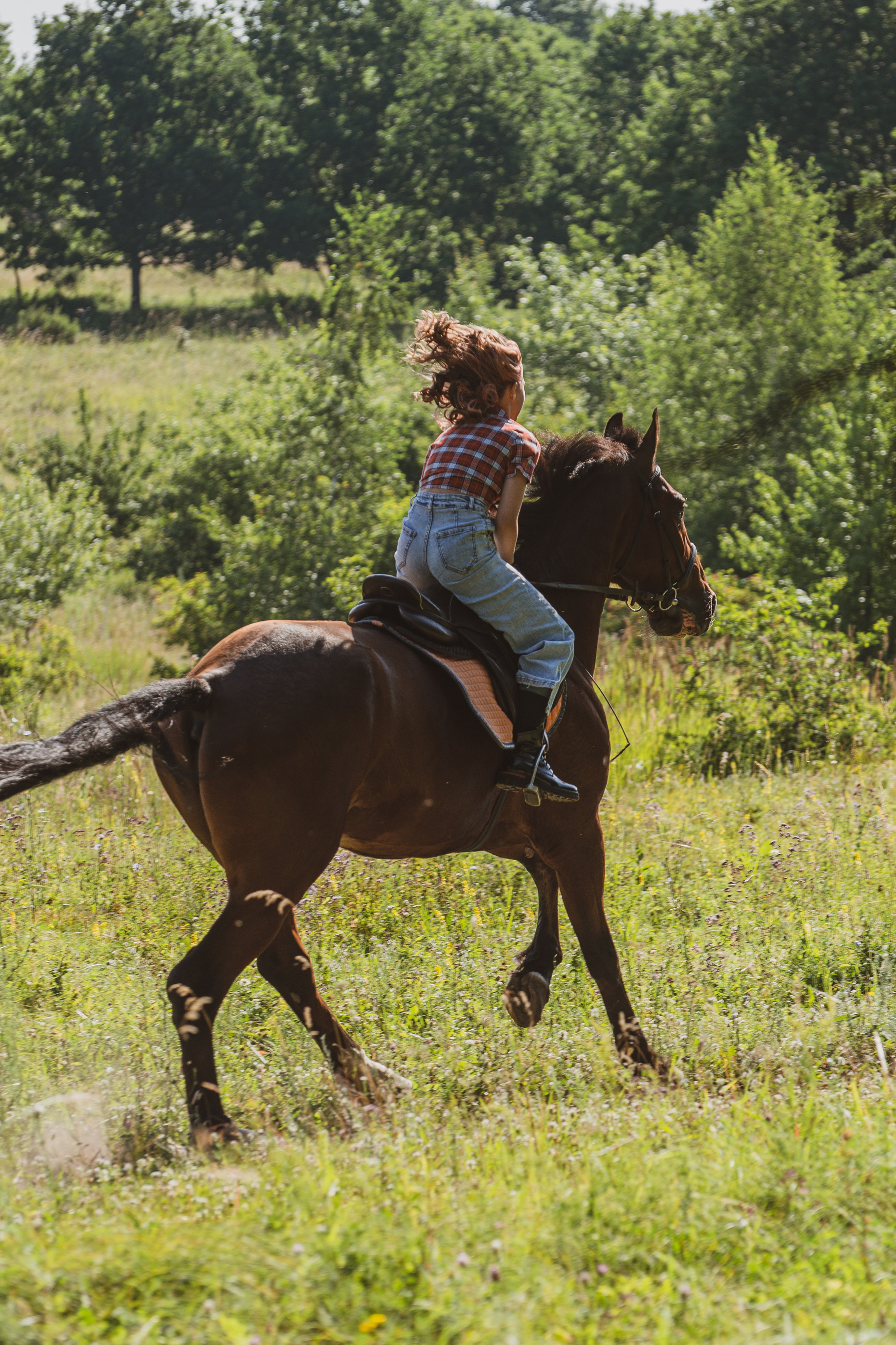 Вероника и Финист