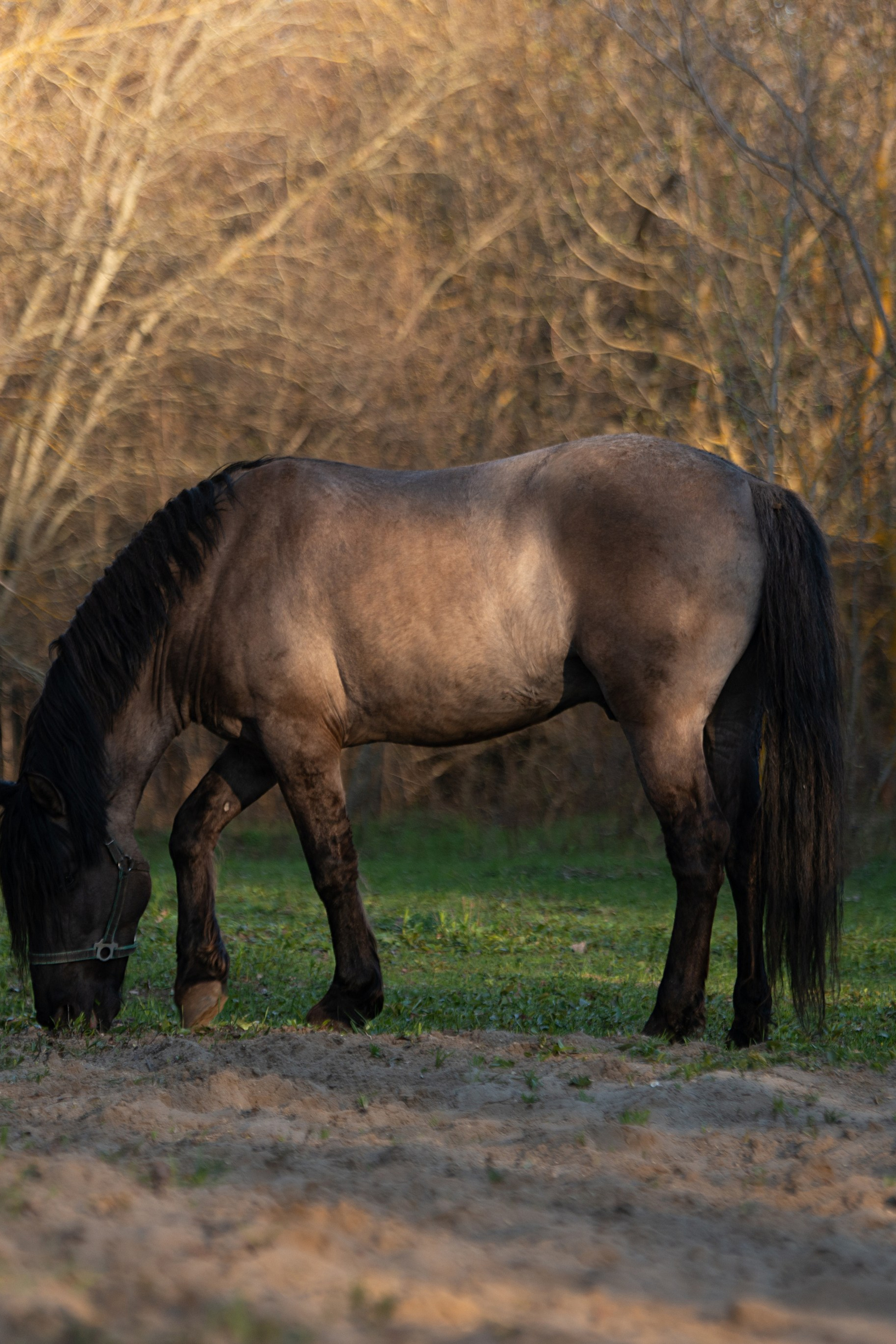 вятка Исток