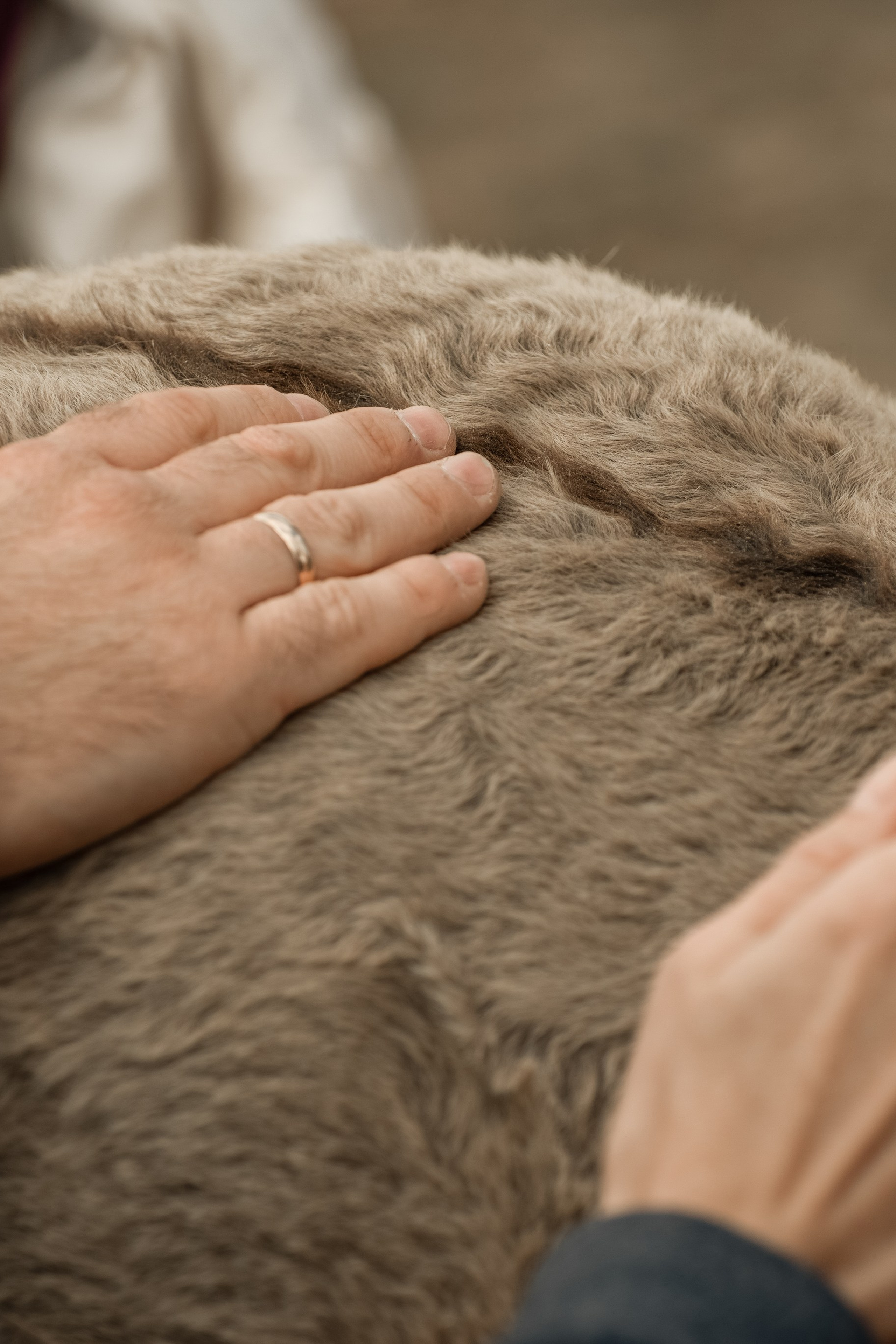 Гости в Родославном