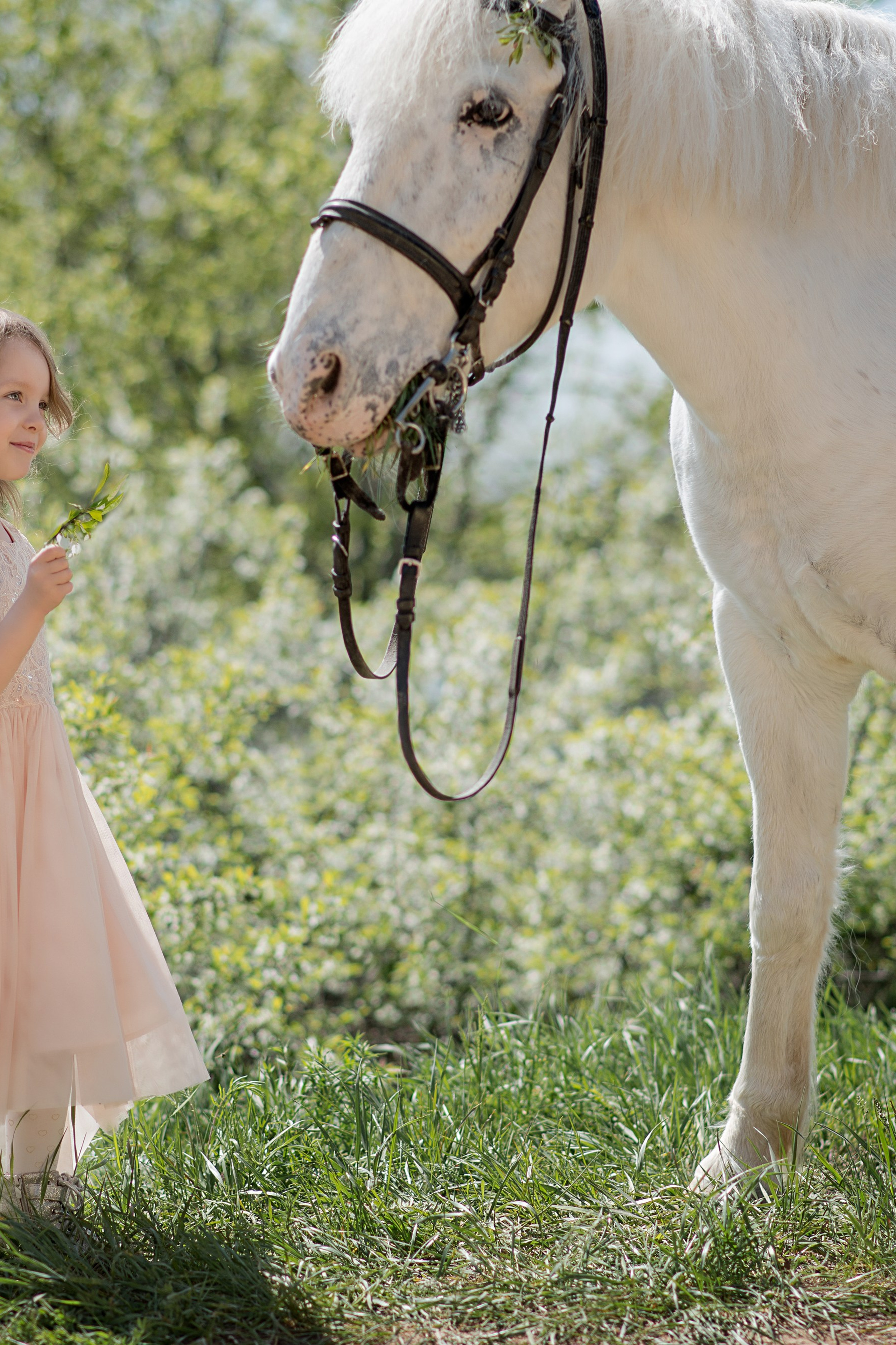 Семейная съемочка с&nbsp;Чингизом