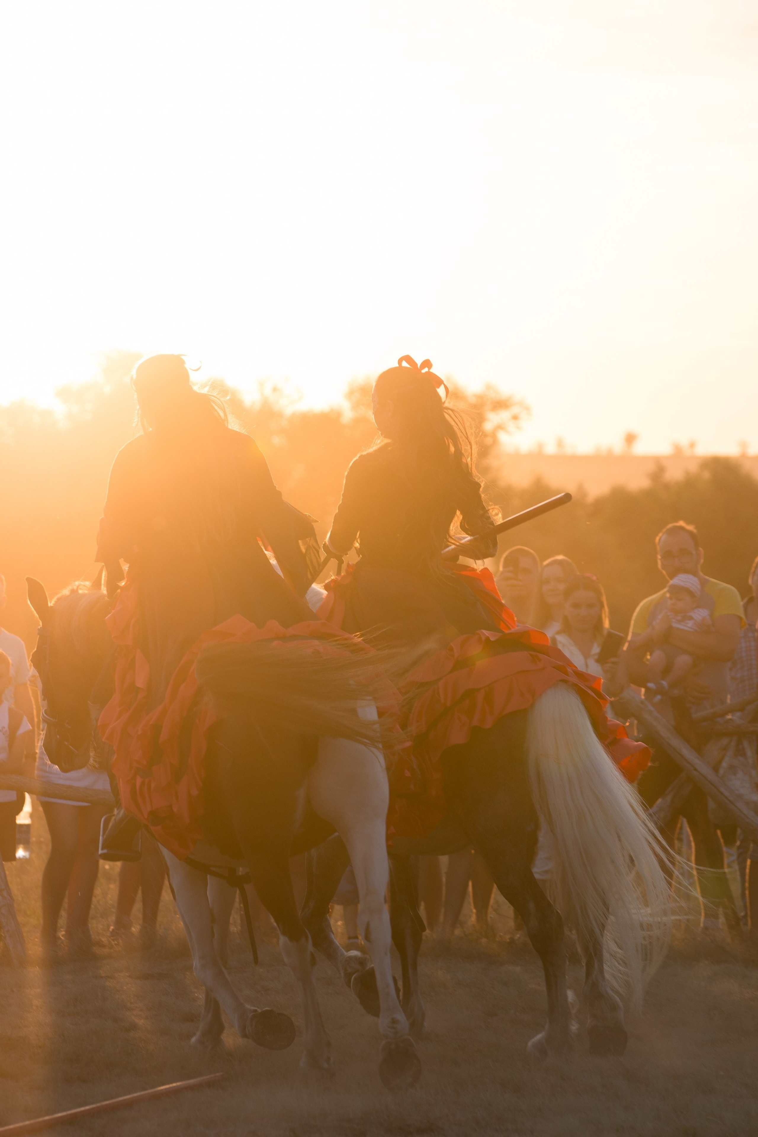 Карнавал Догвинтер