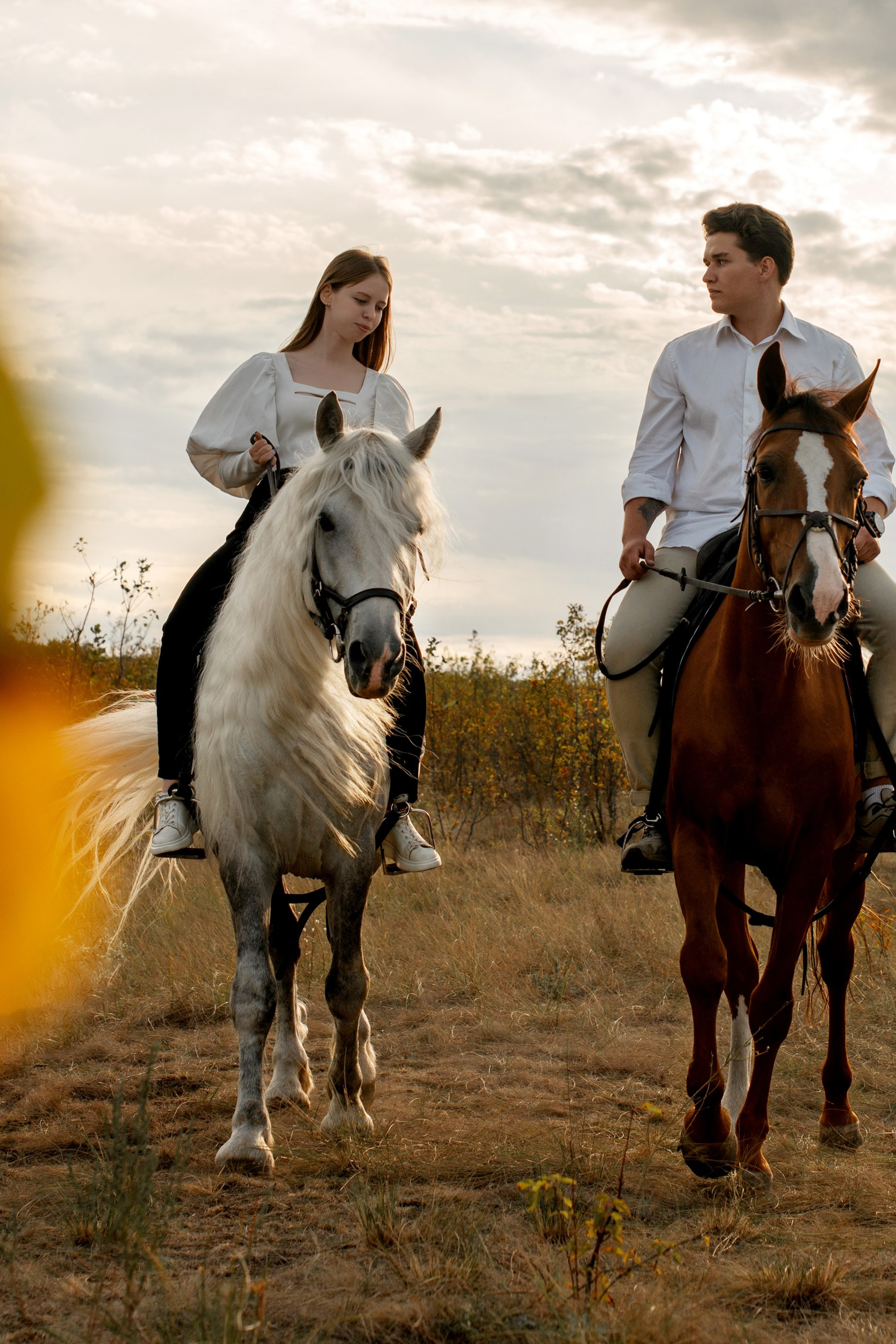 Дмитрий и Анастасия, Феникс и Вымпел