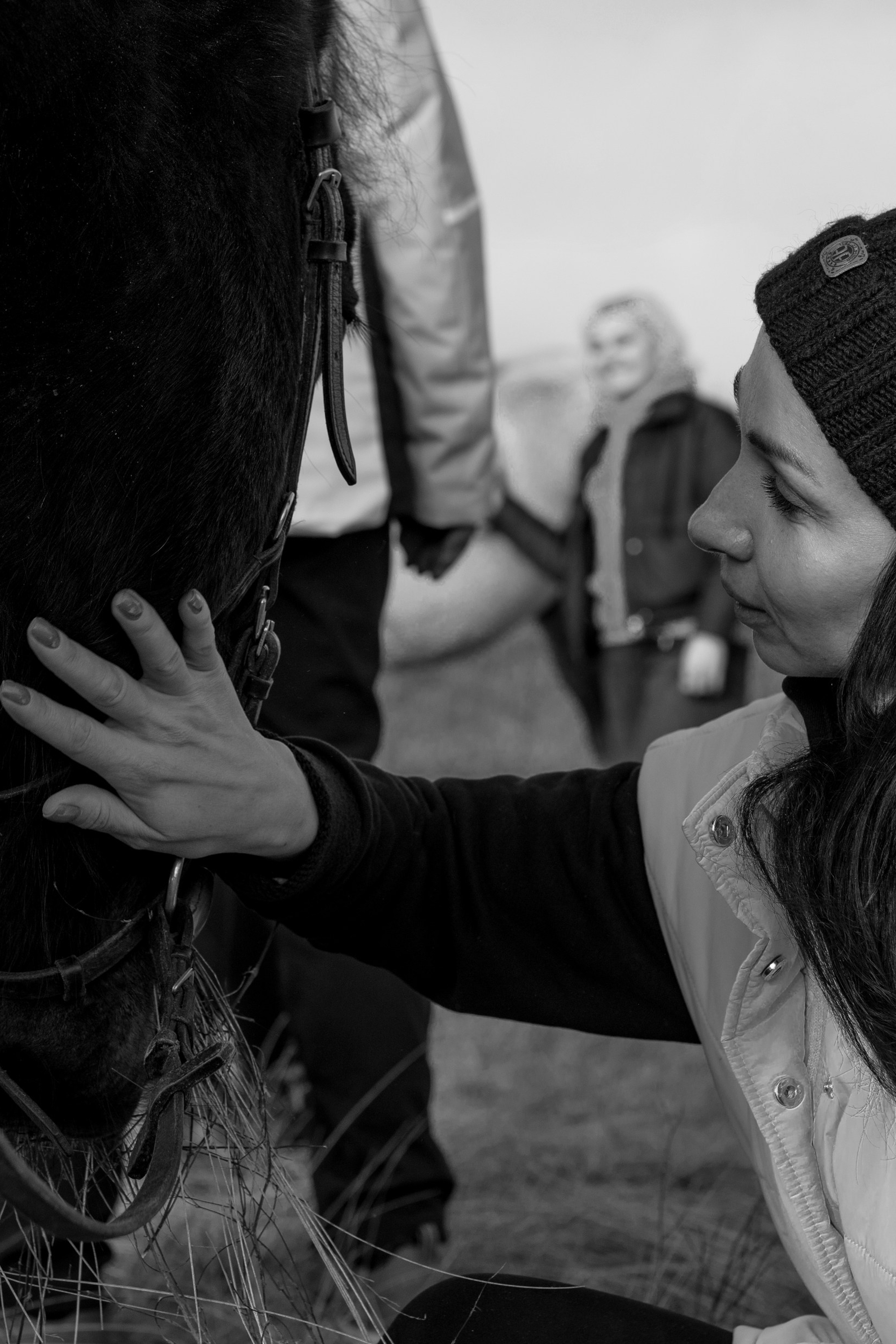 Гости в Соколовом