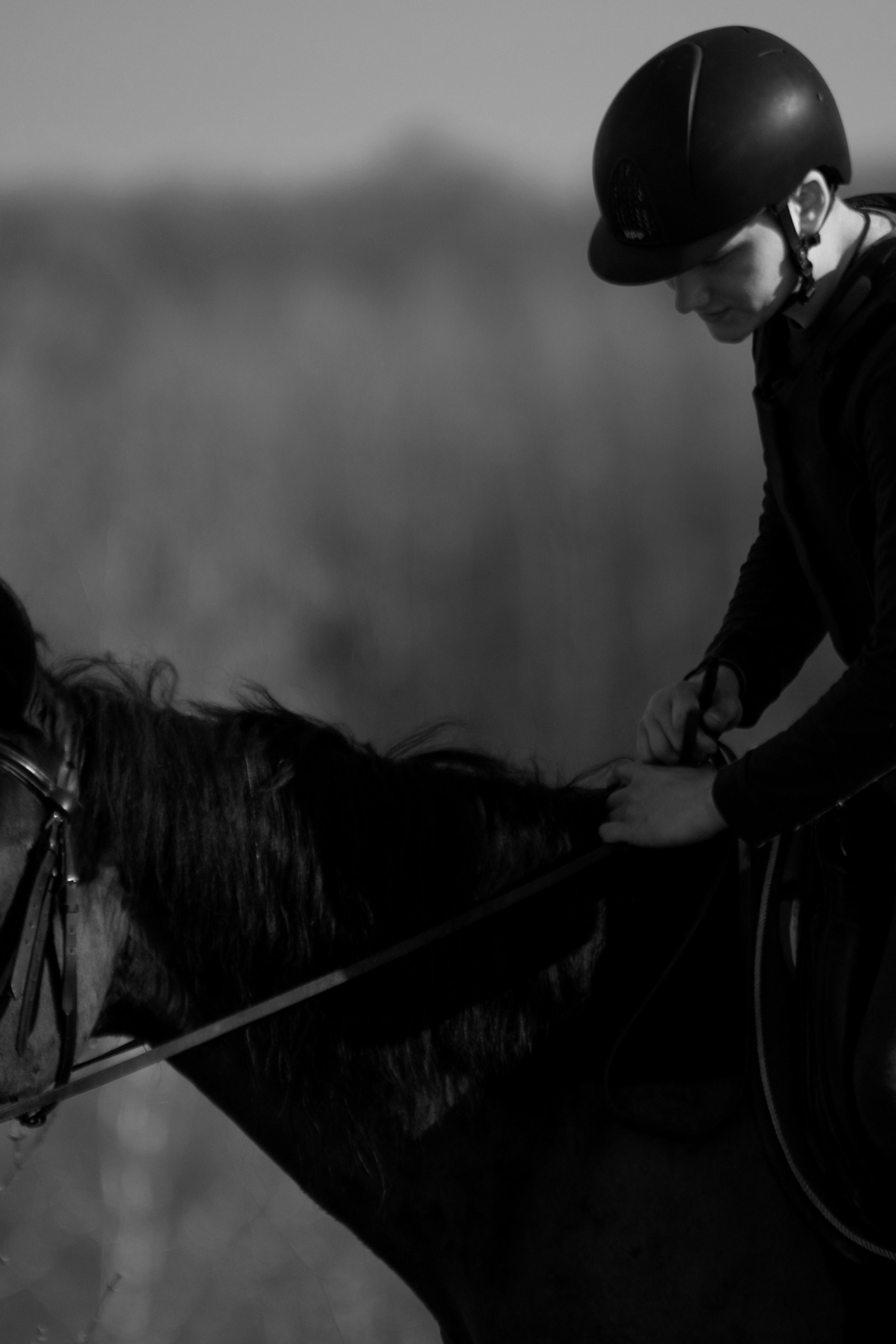 Геннадий и Магнат и Чук