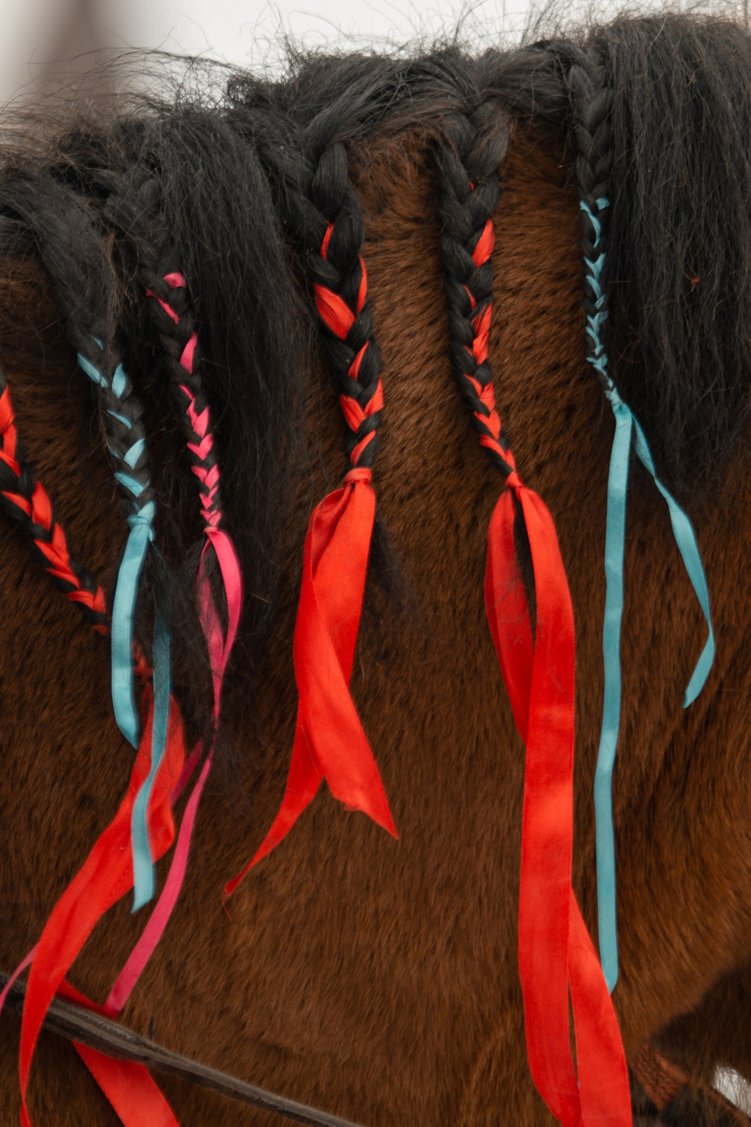 Масленица в Родославном