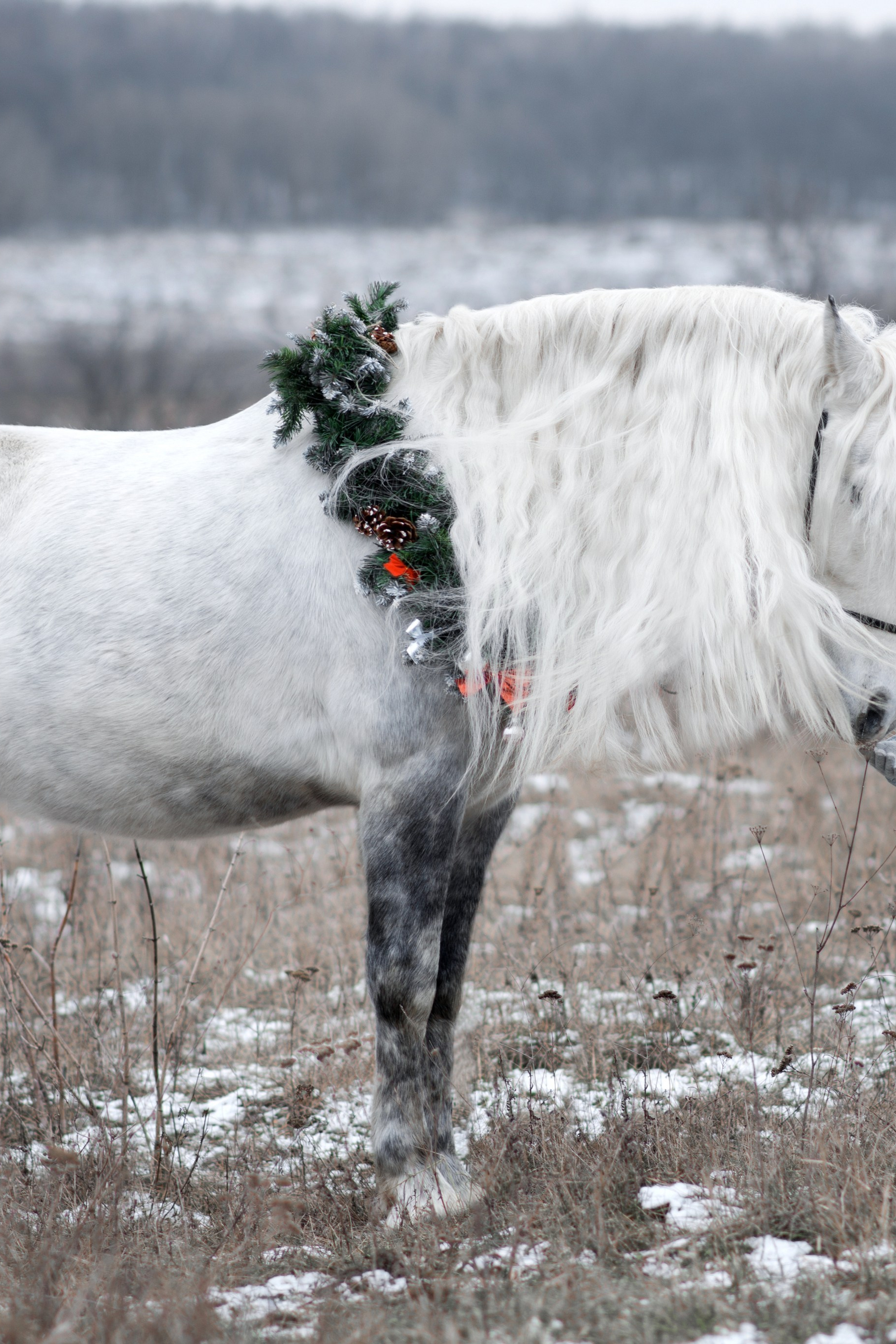 Дети и Вымпел