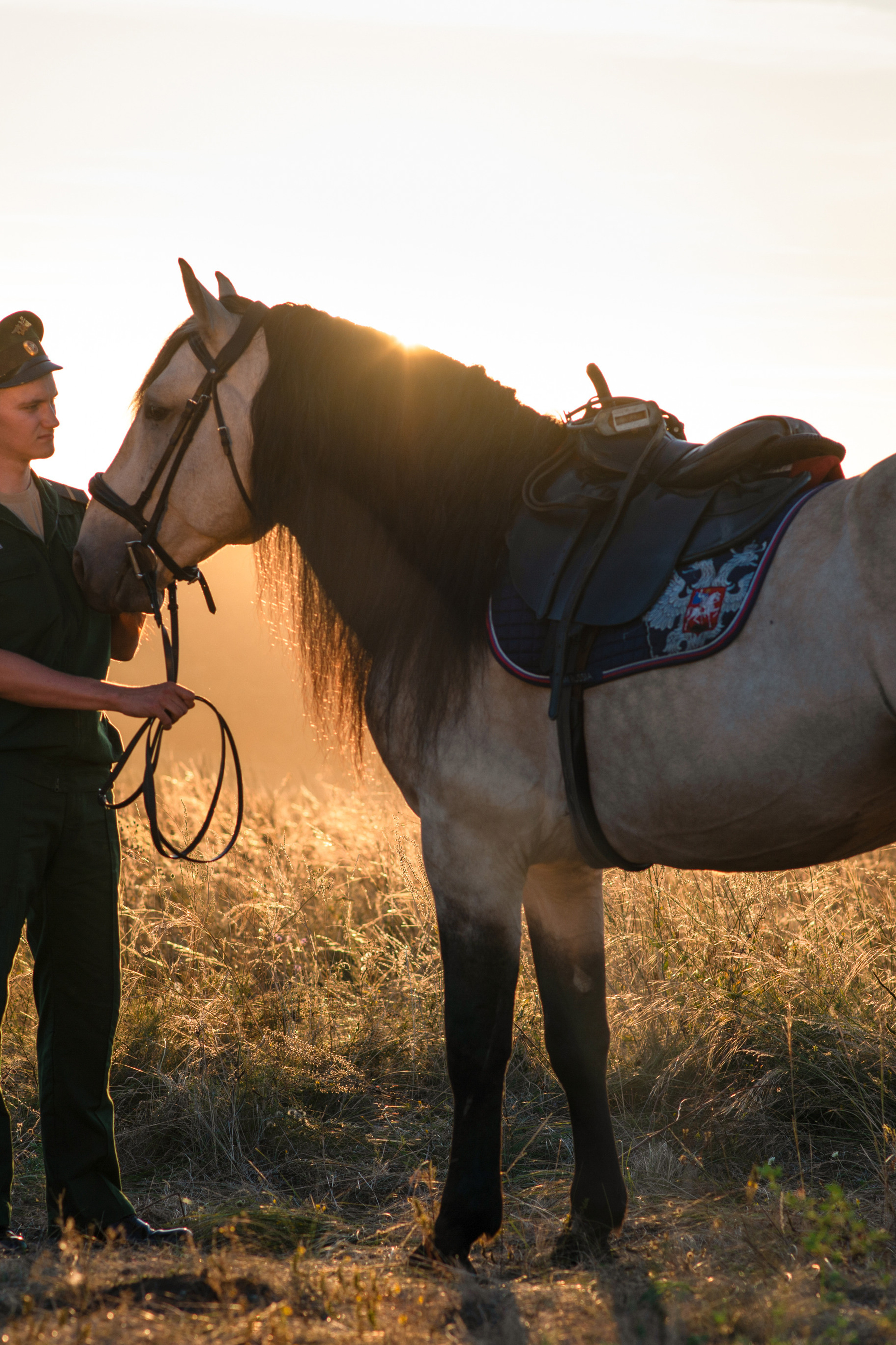Геннадий и Тезей