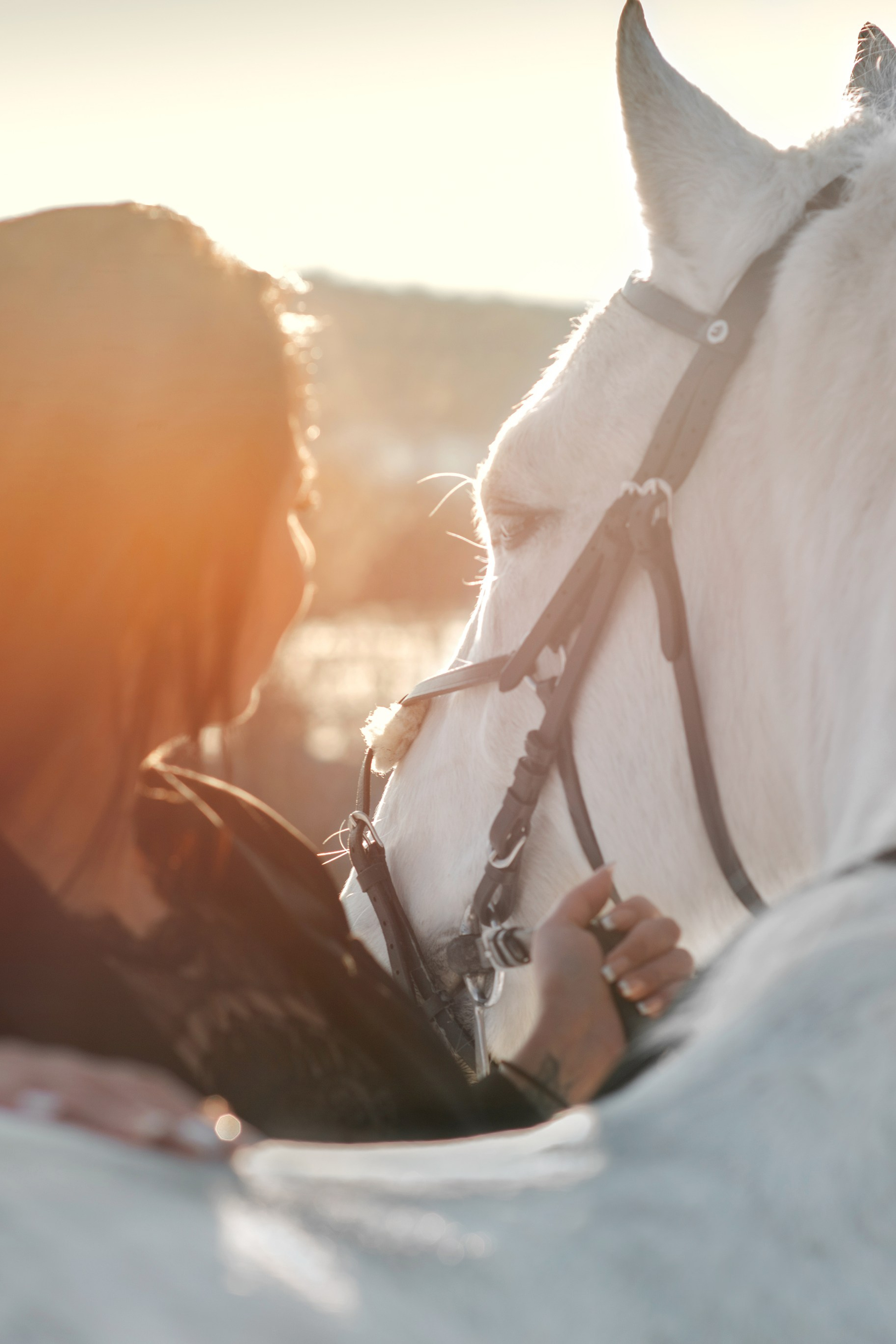 Владлена и Вымпел
