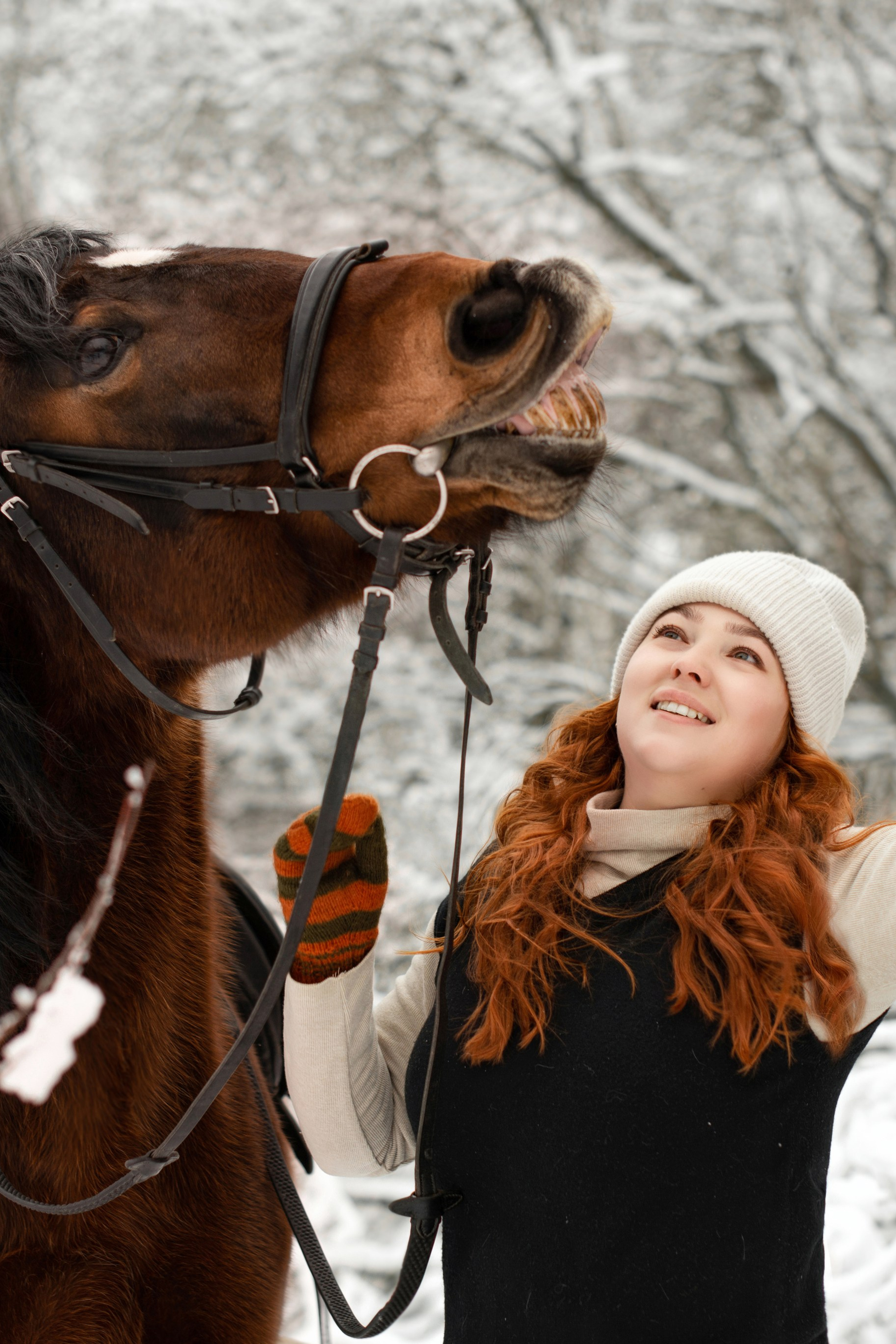 Елизавета и&nbsp;Холмогор