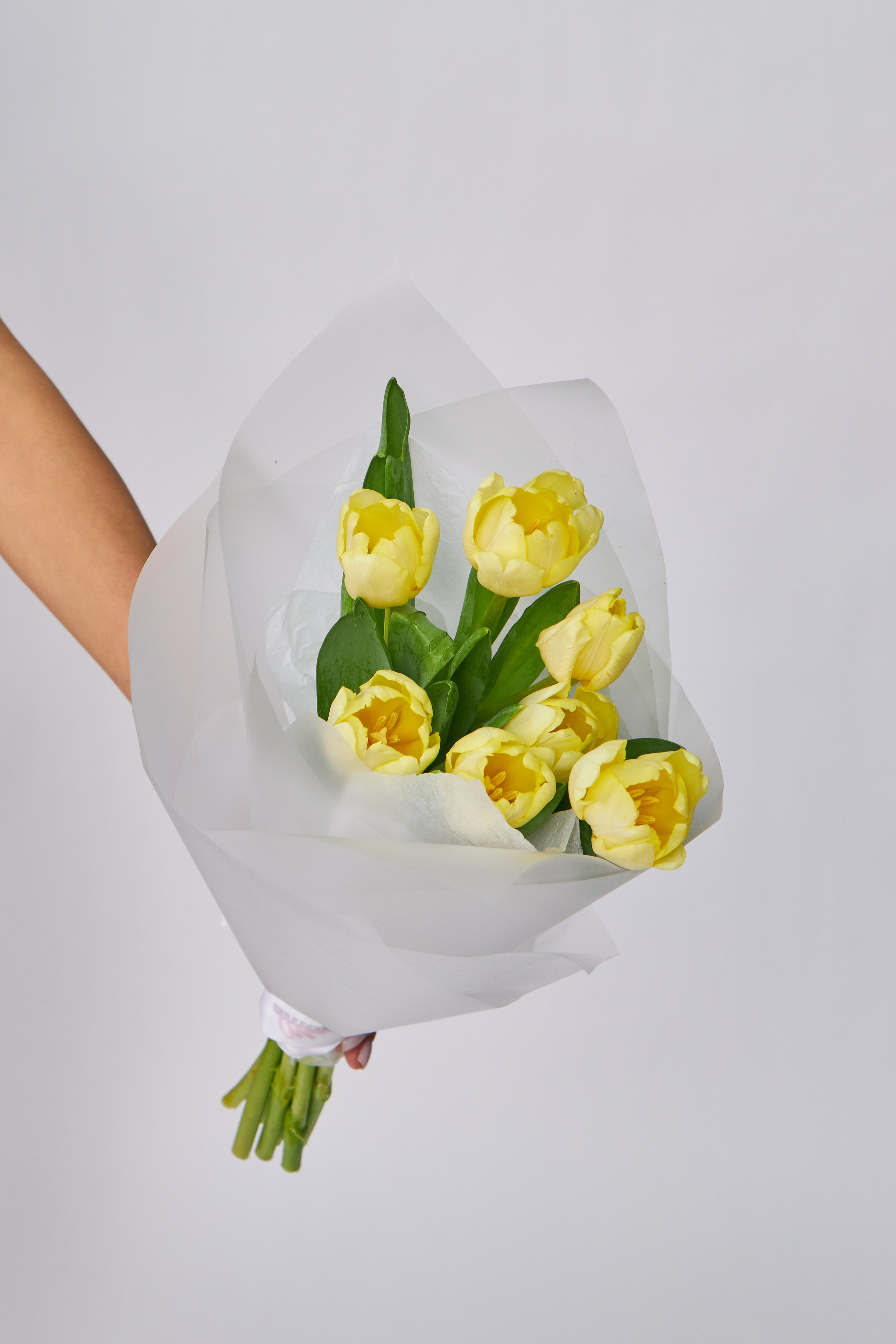 Профессиональная съемка одежды (предметная/на модели) в студии Москвы