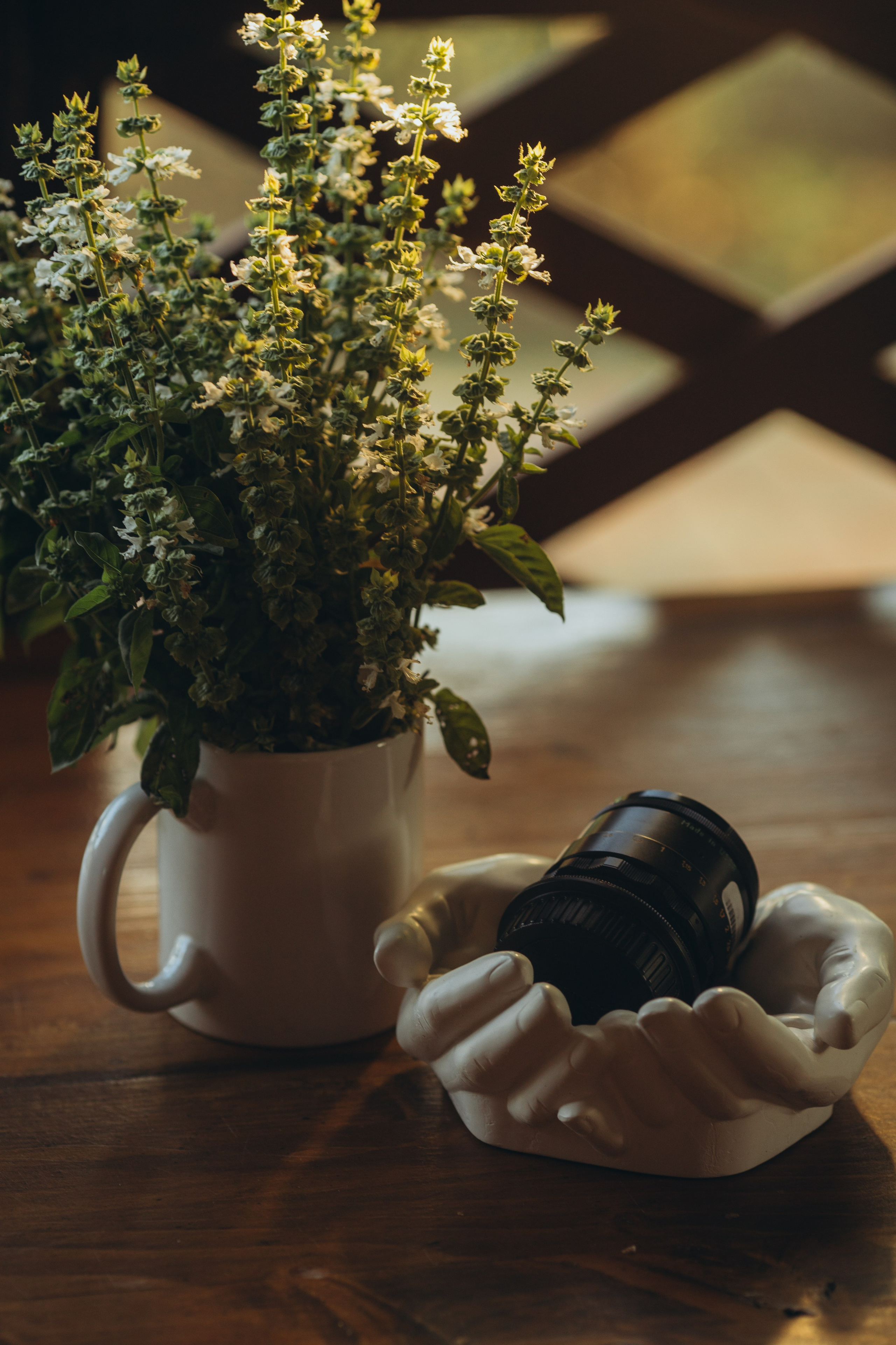 Фотограф Елена Кириллова