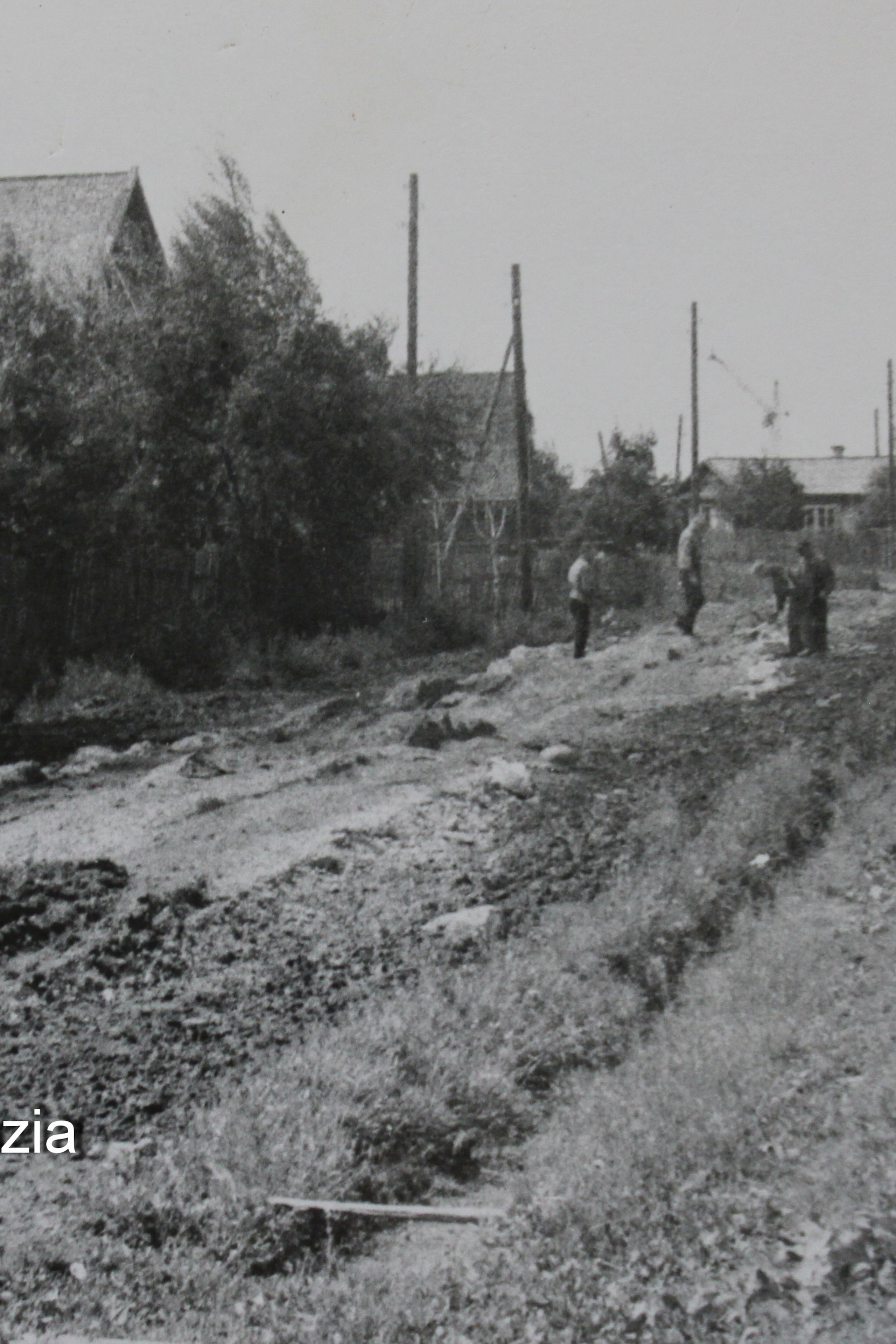 Г. п.Назия. История Назиевского городского поселения