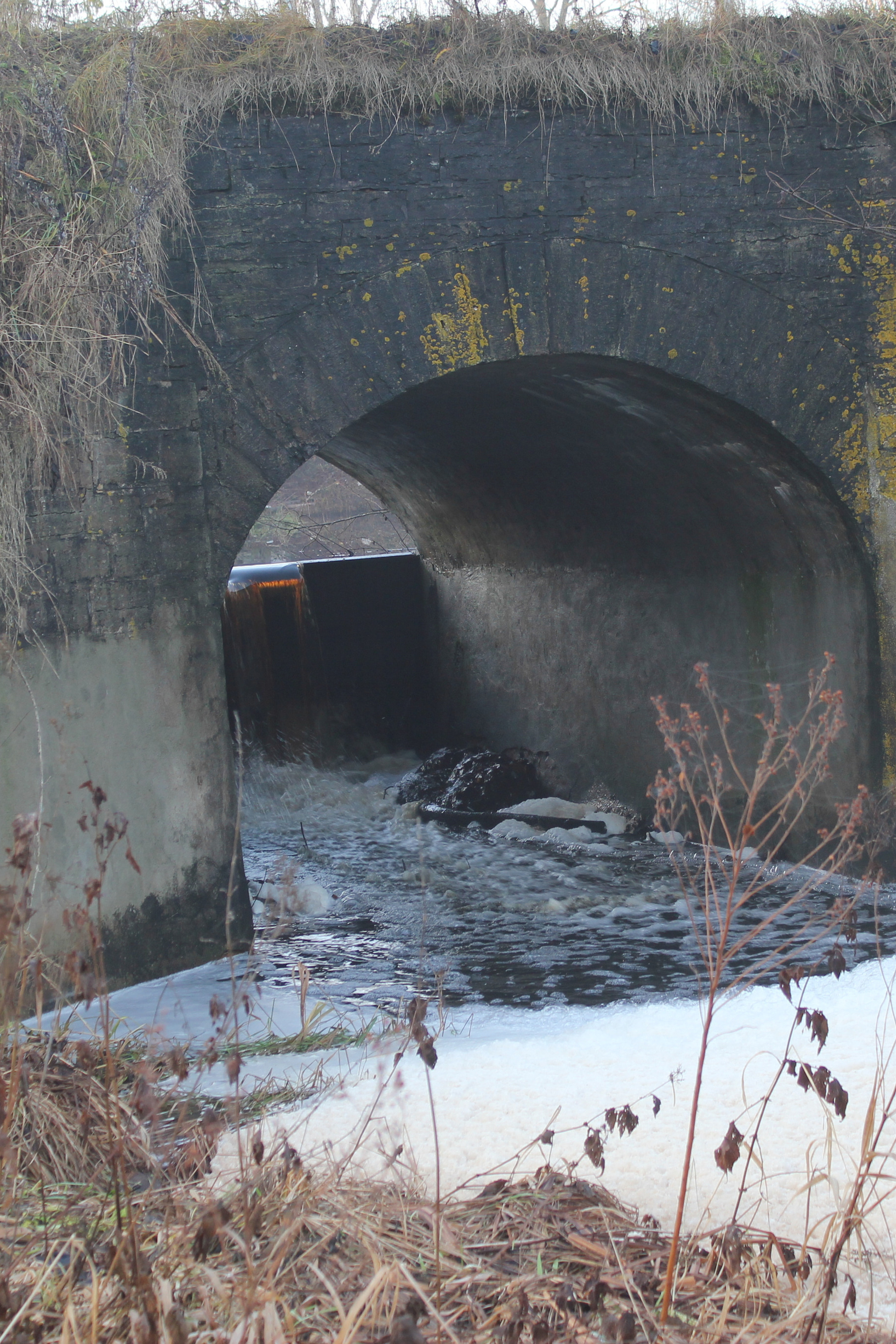 Одноарочный мост в д. Сирокасска. История Назиевского городского поселения