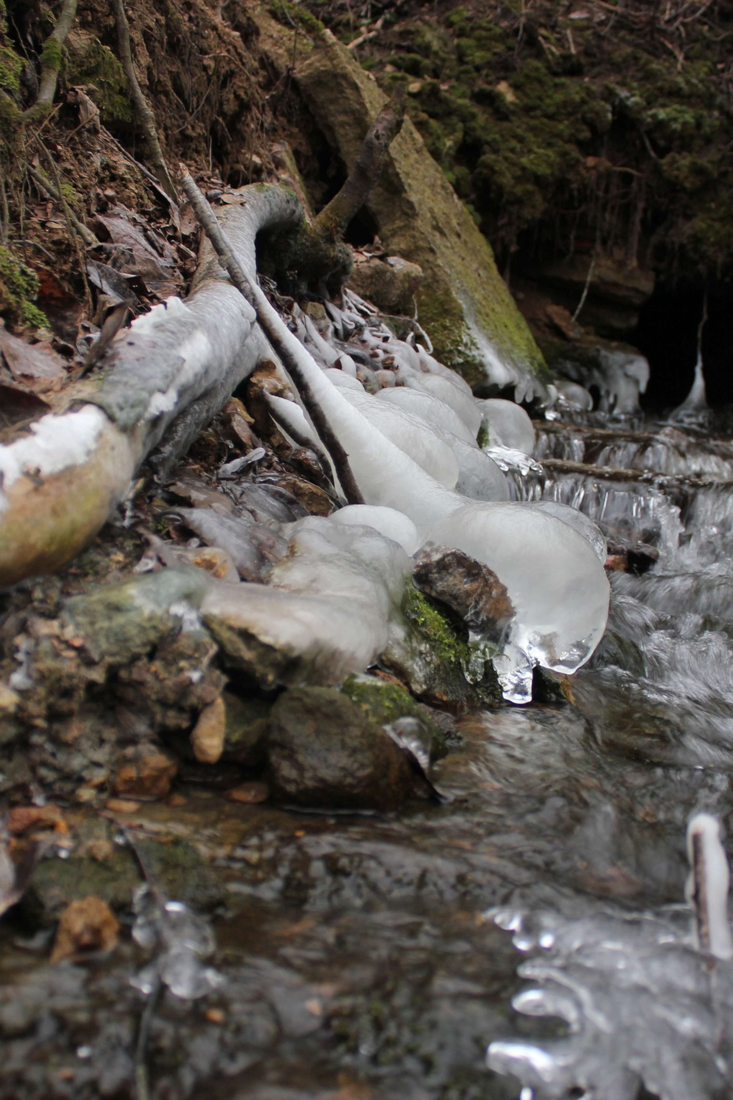 Каньон р.Лава. История Назиевского городского поселения