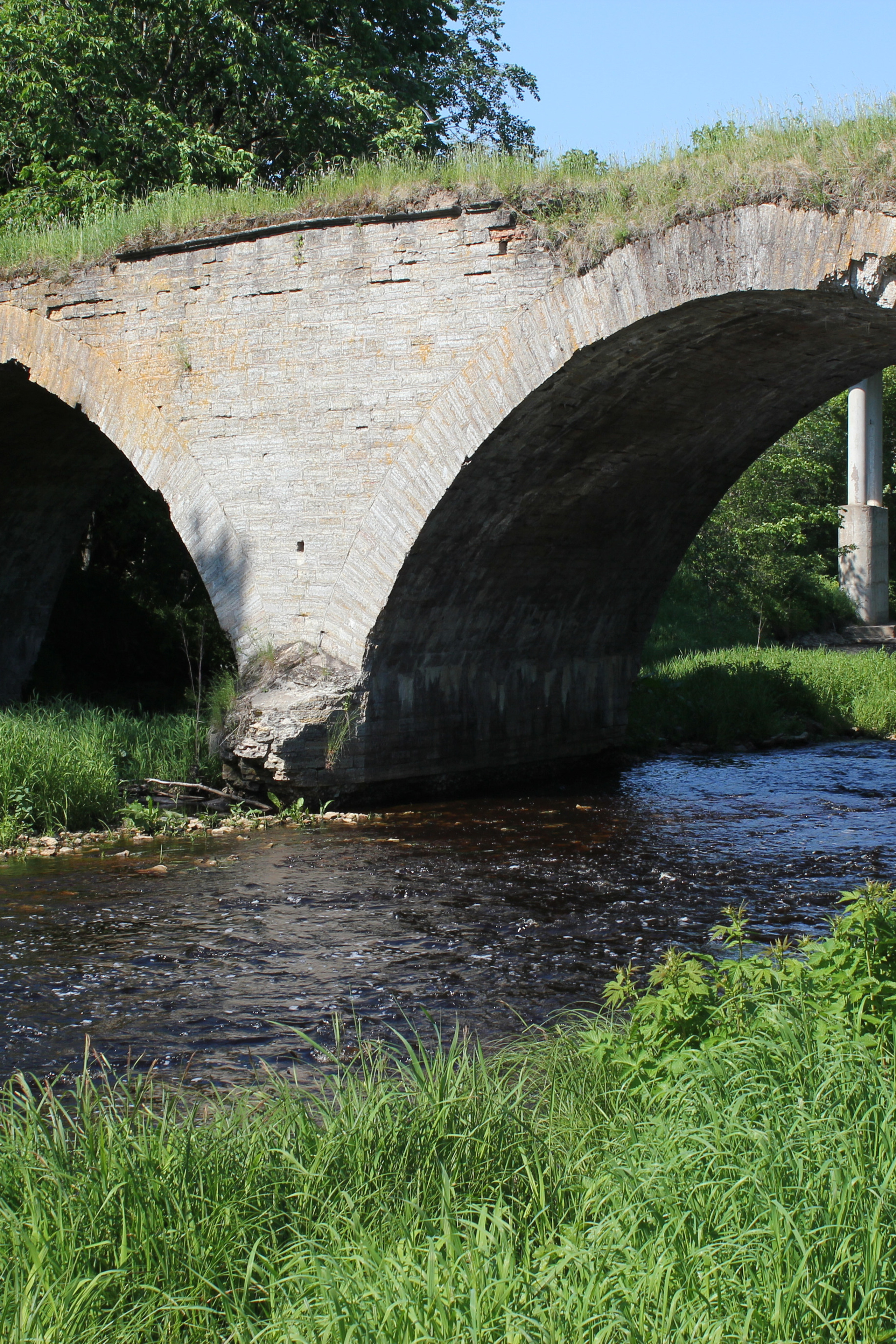 Двухарочный мост в д. Васильково. История Назиевского городского поселения
