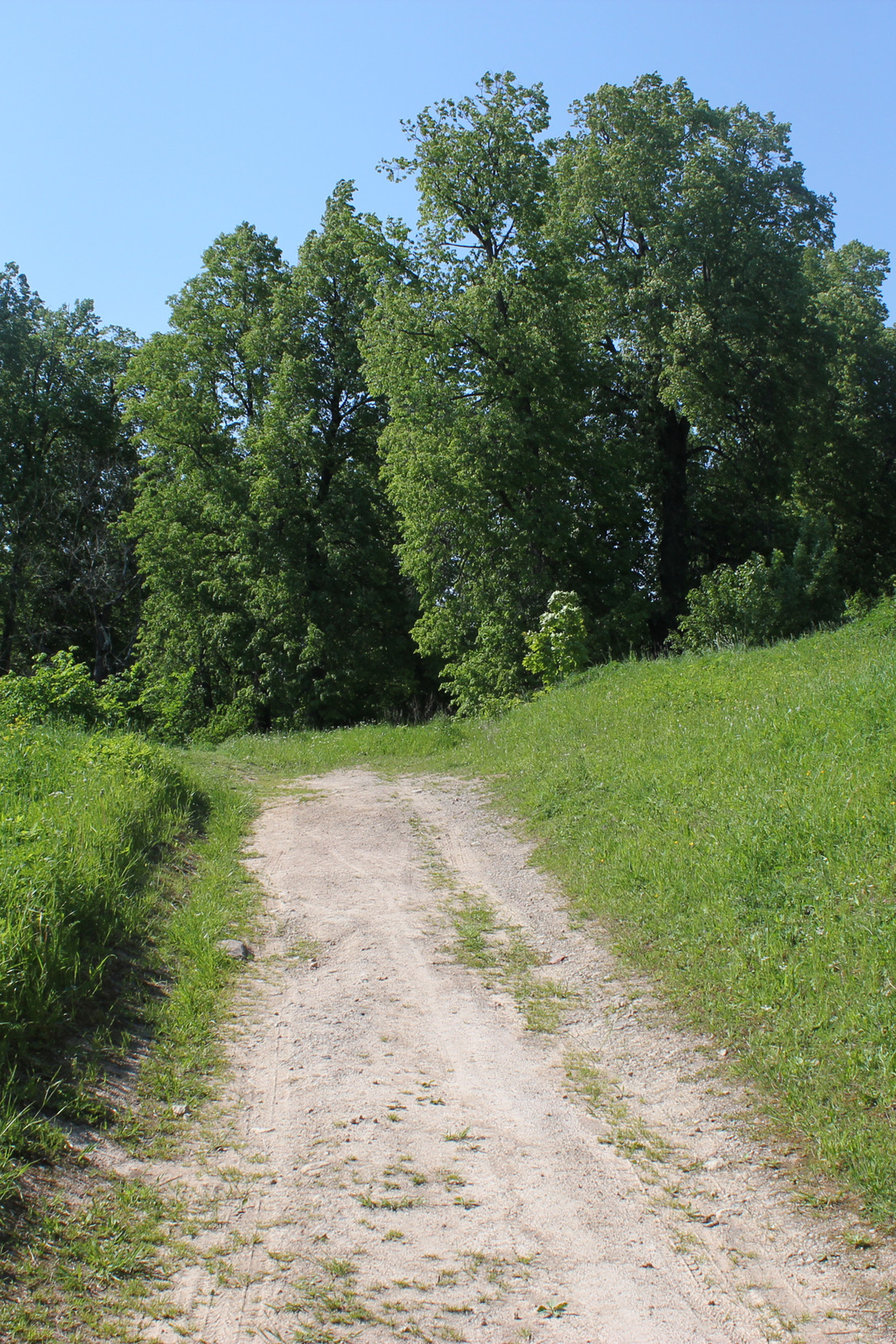 Деревня Васильково. История Назиевского городского поселения