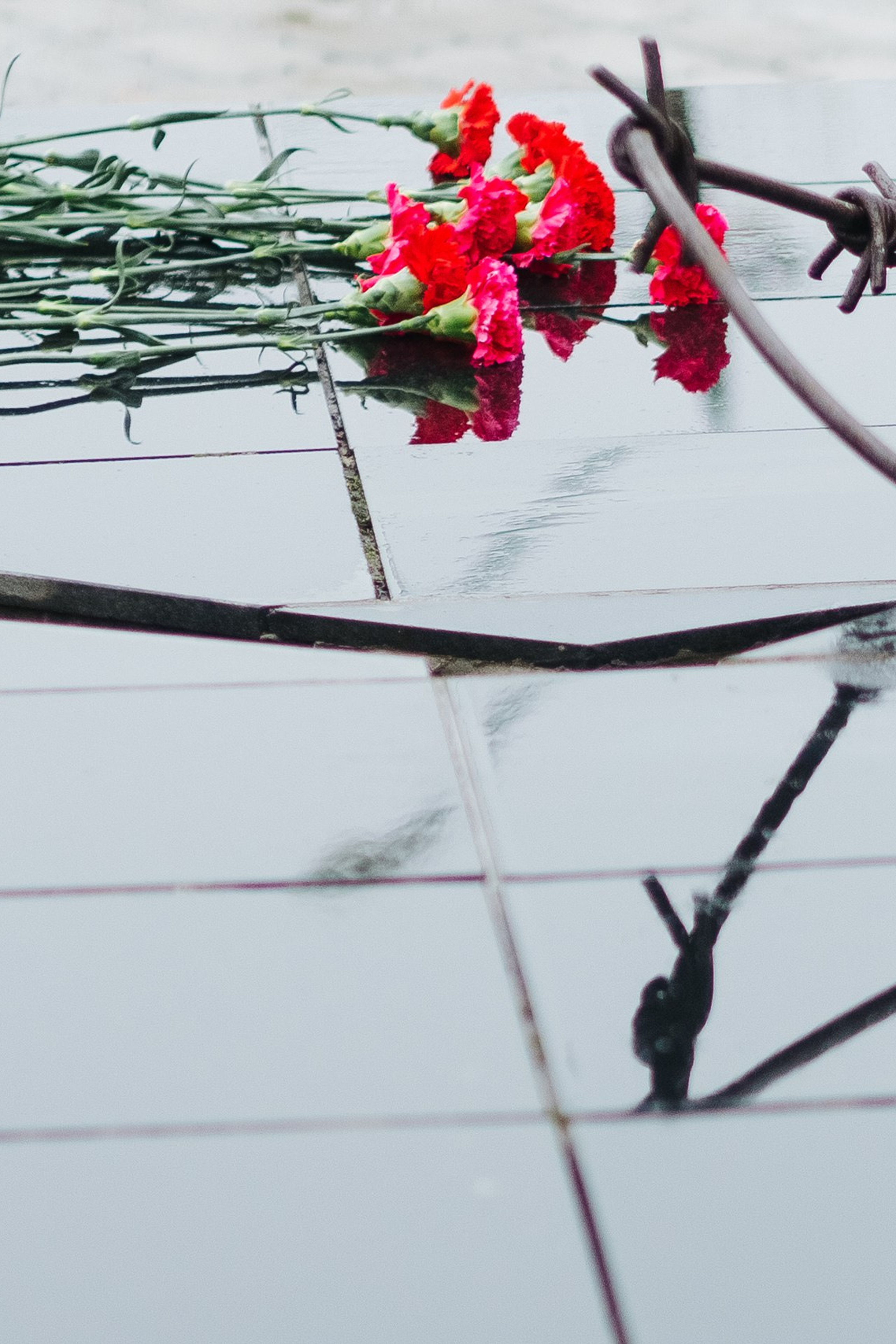 Памяти жертв политических репрессий. История Назиевского городского поселения