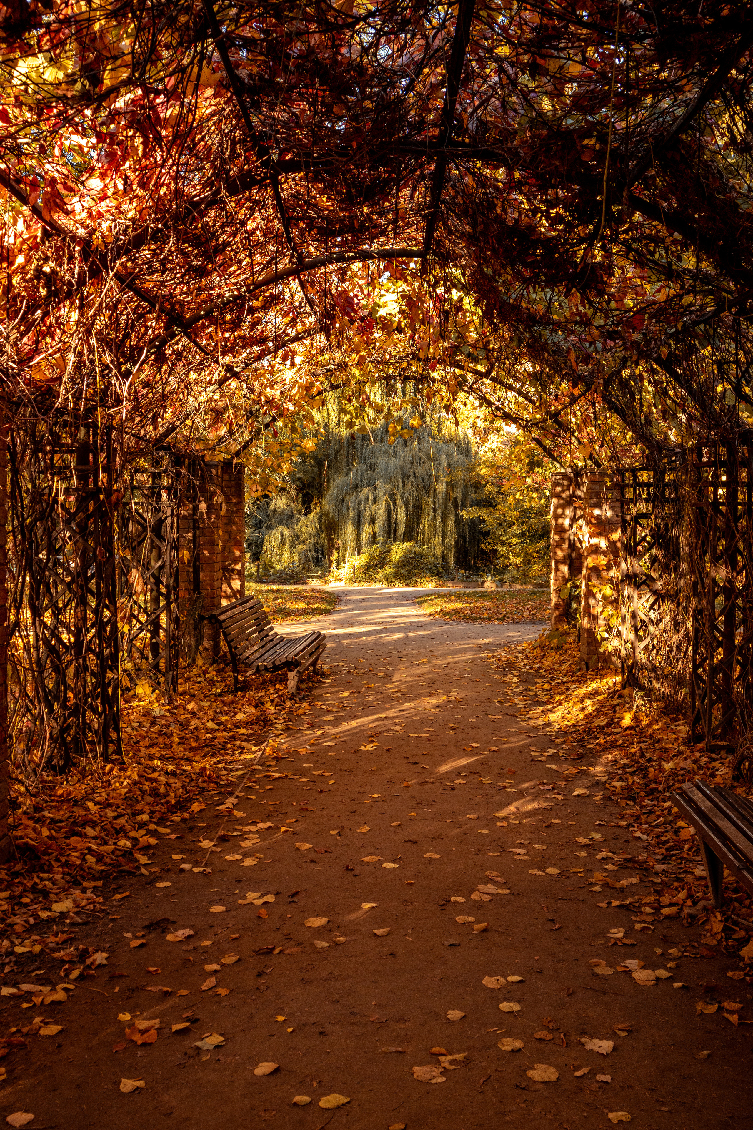 Блог о Москве