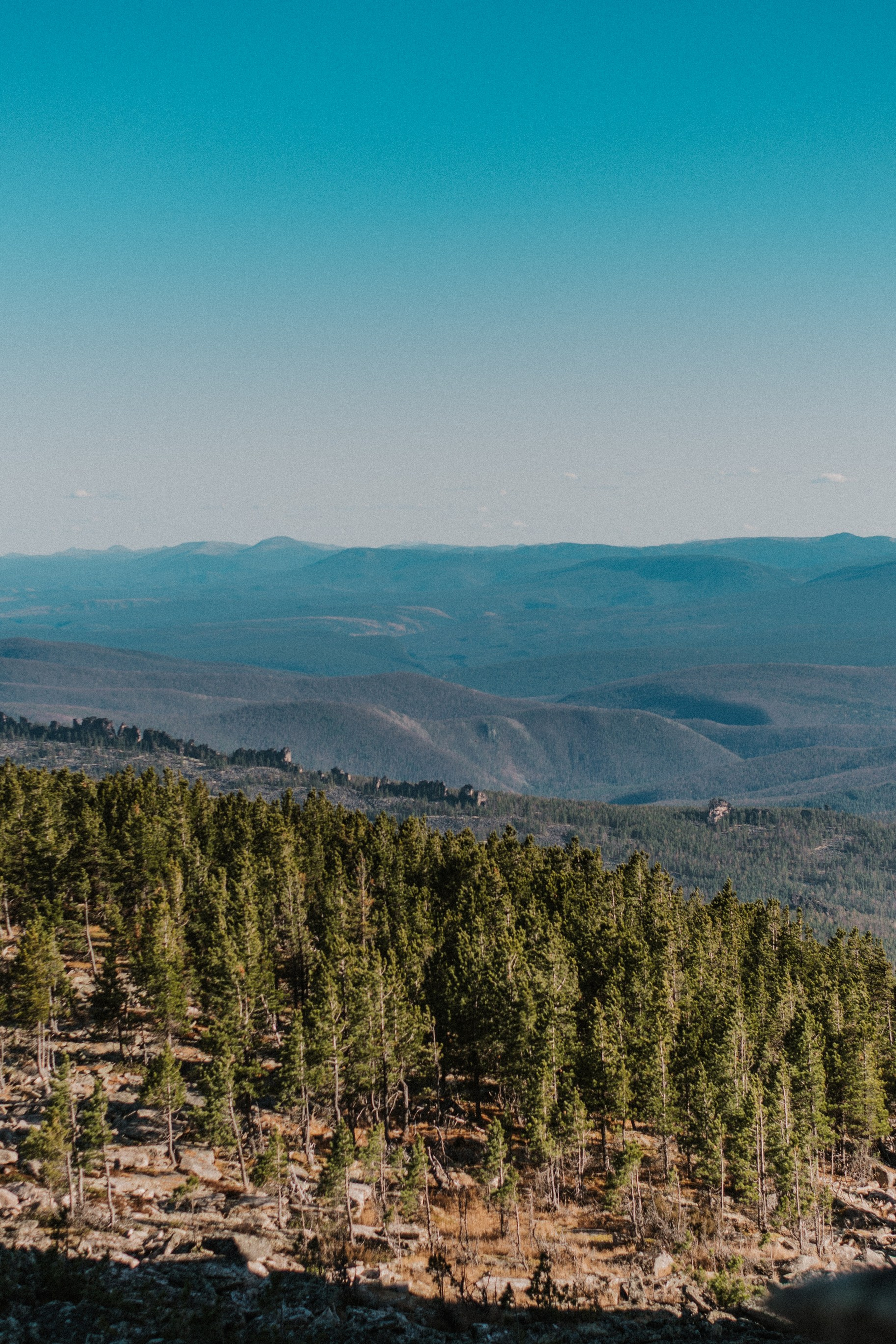 Истории. Свадебный и семейный фотограф в Красноярске Наталья Дроздова