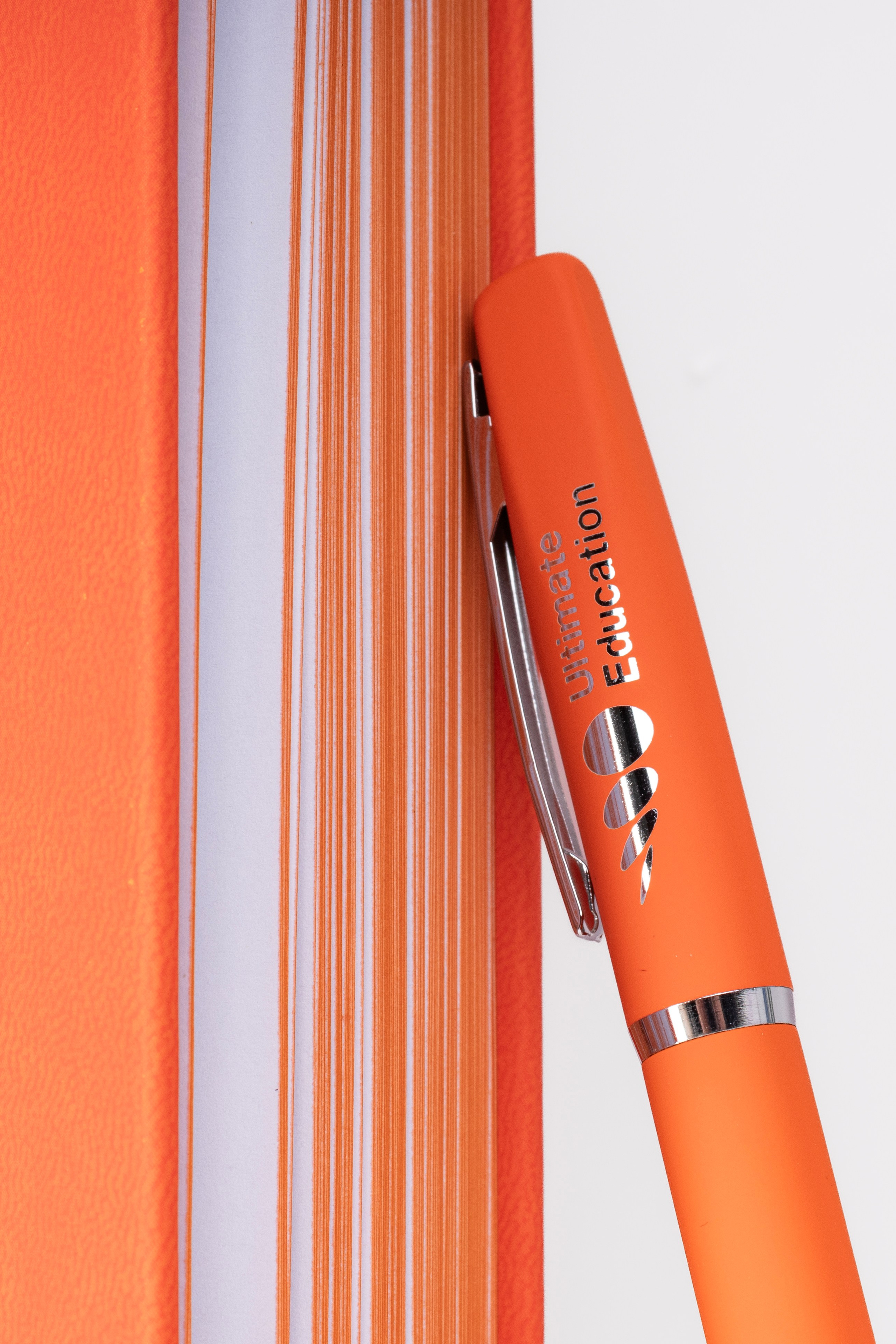 Образовательный холдинг Ultimate Education