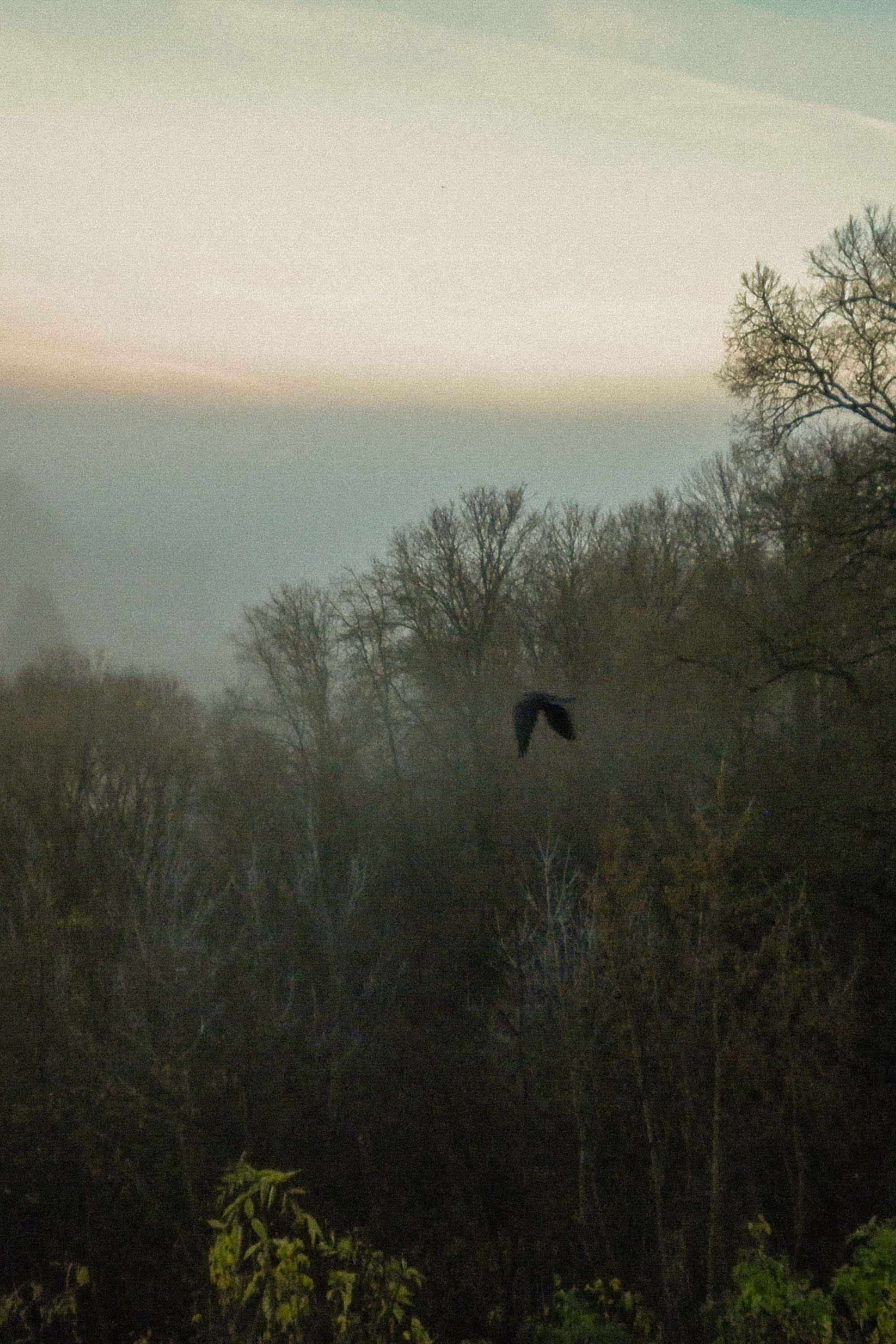 Фото настоящей жизни. Свадебный фотограф Смоленск