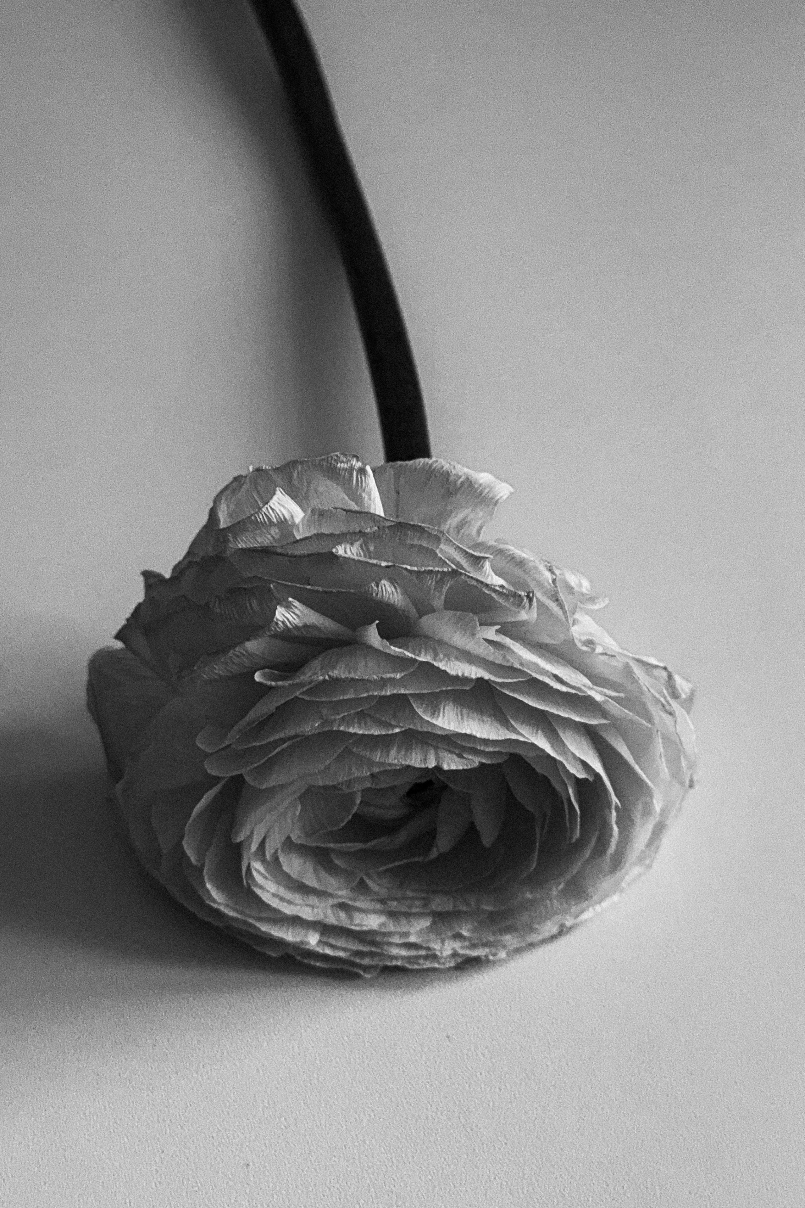 Xadi Tagirova Photography