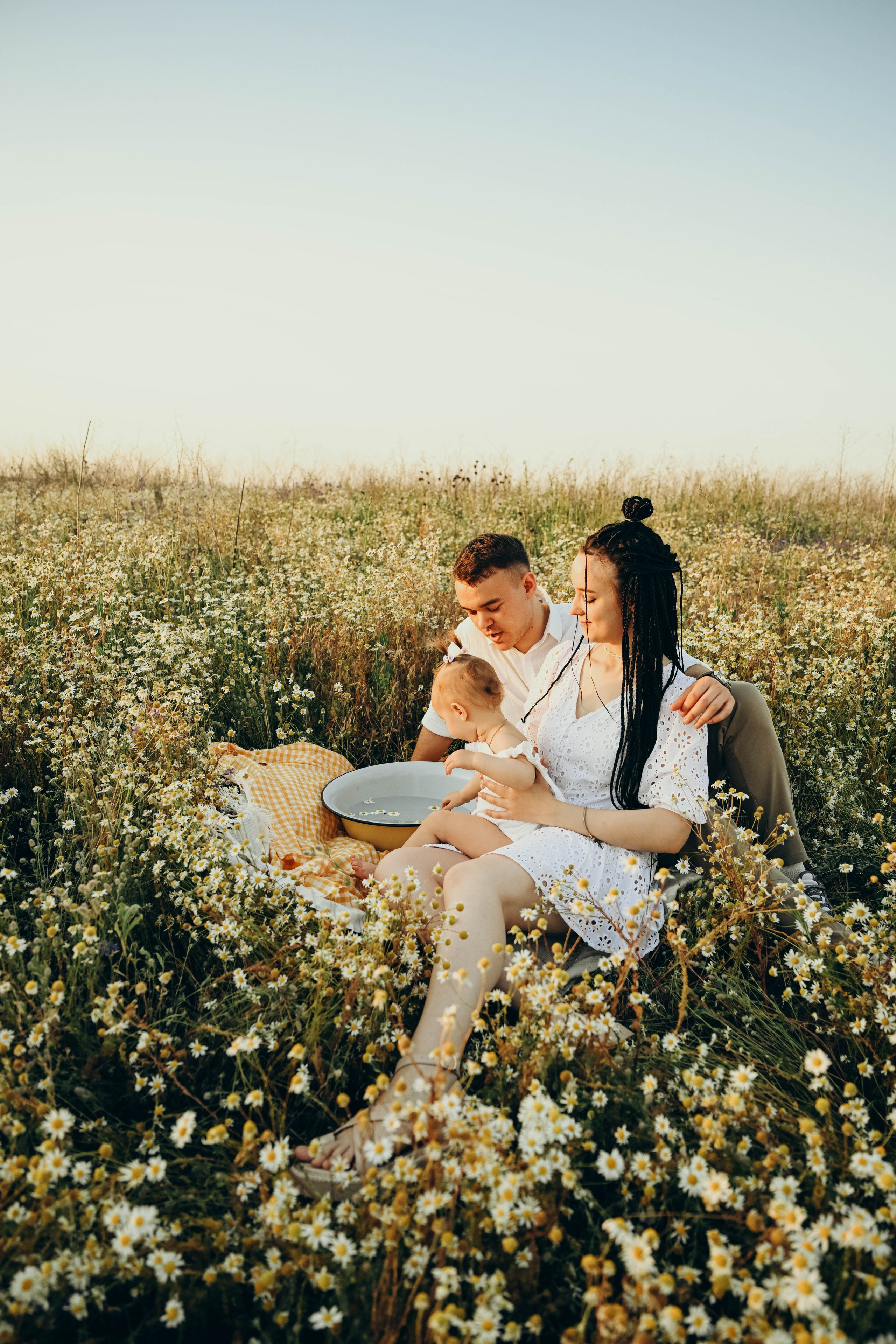 ромашковое поле