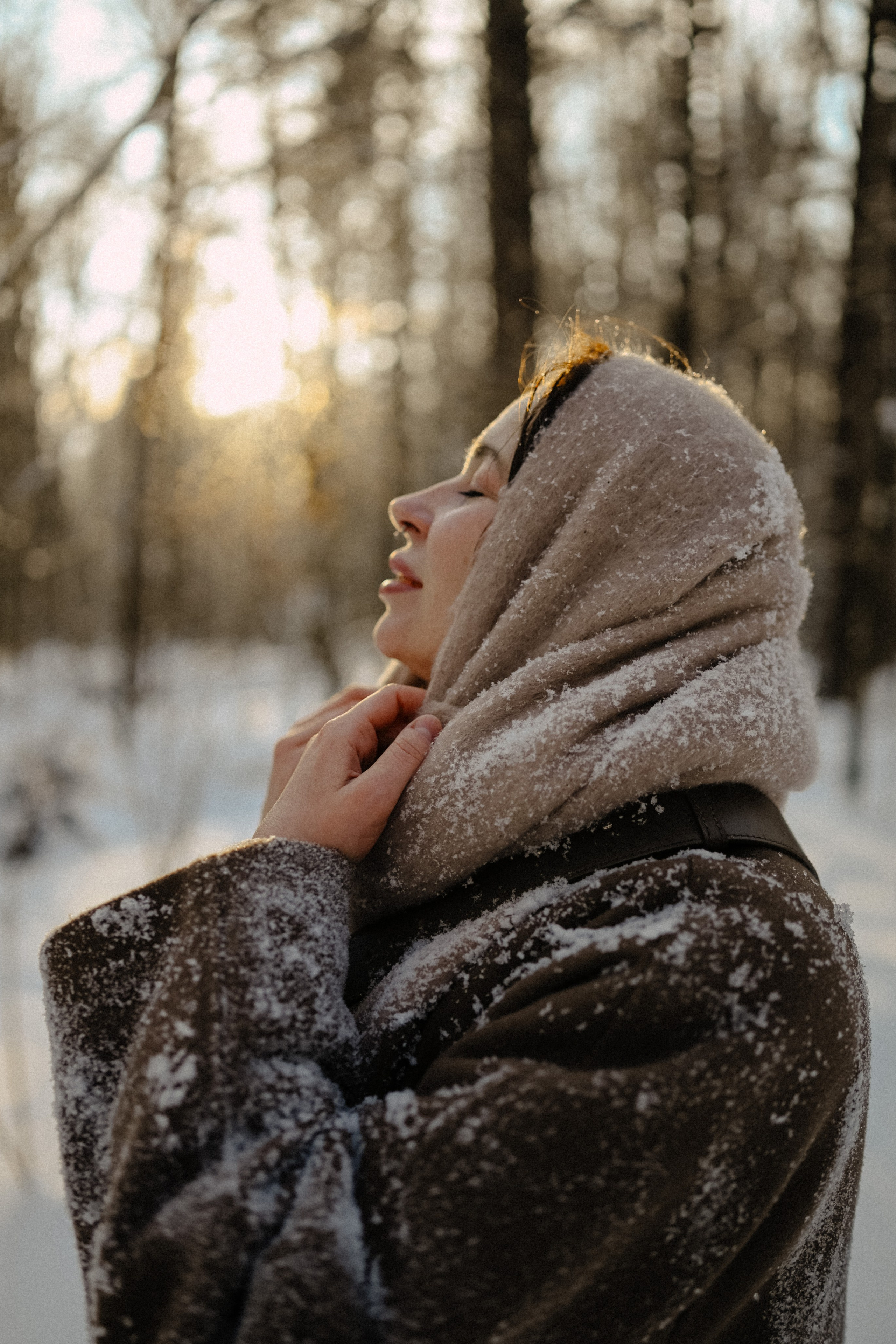 Лесная история