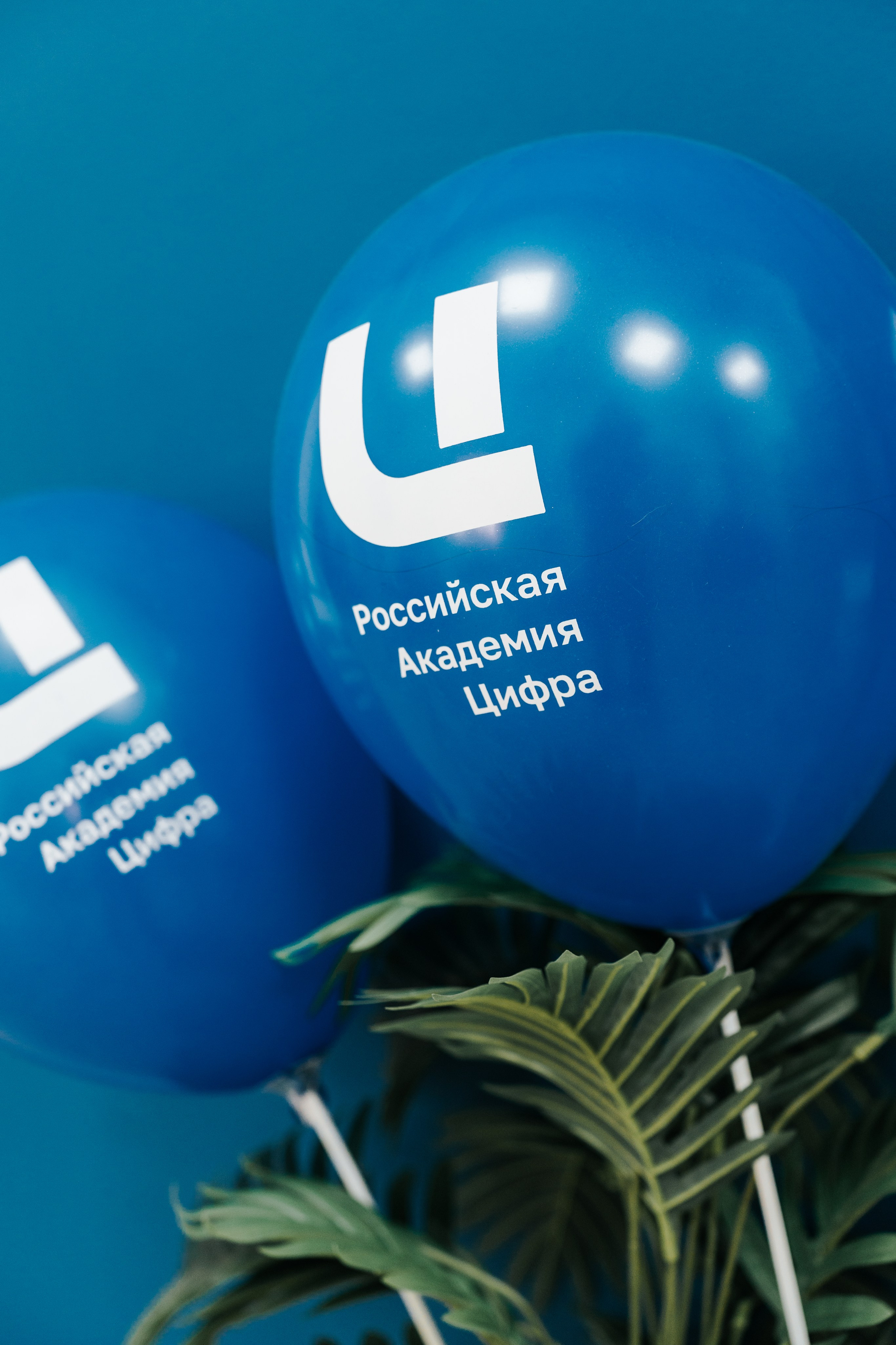 Открытие филиала компании «Российская Академия Цифра» в Красноярске