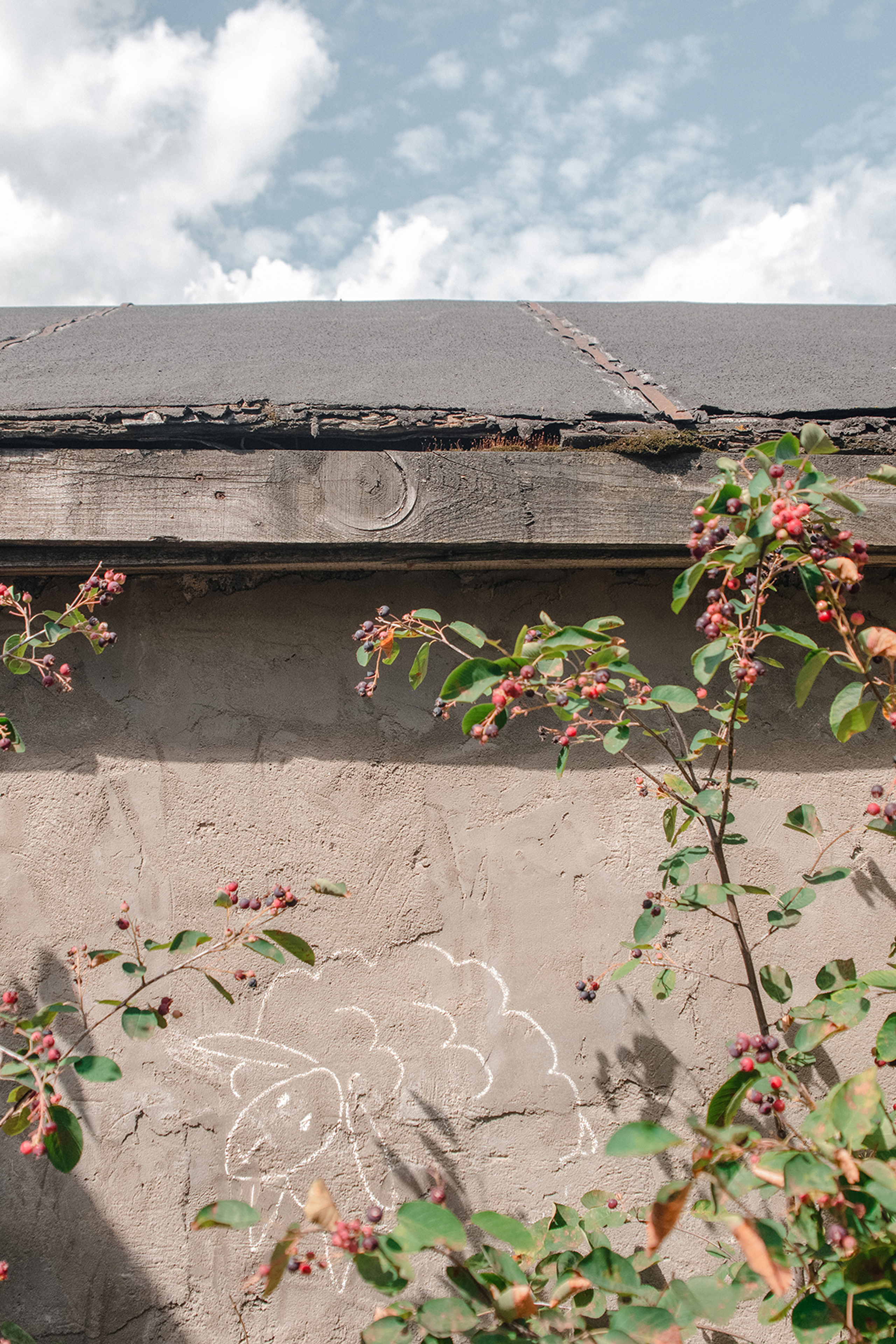 Блог. Фотограф и видеограф в Москве и МО — Евгений Лавров