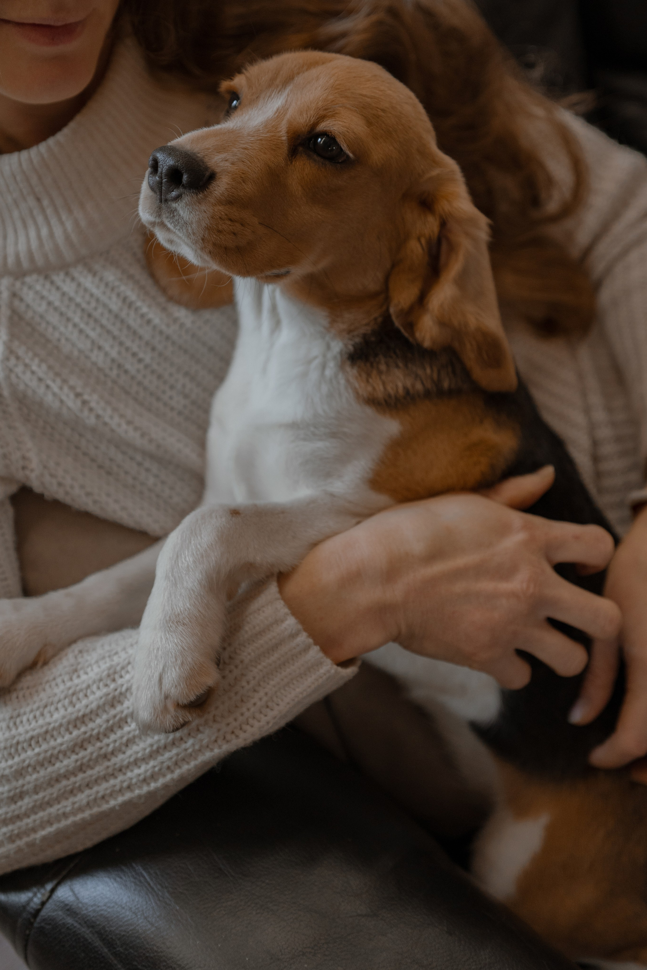 Маша, бигль Вера и её ферма