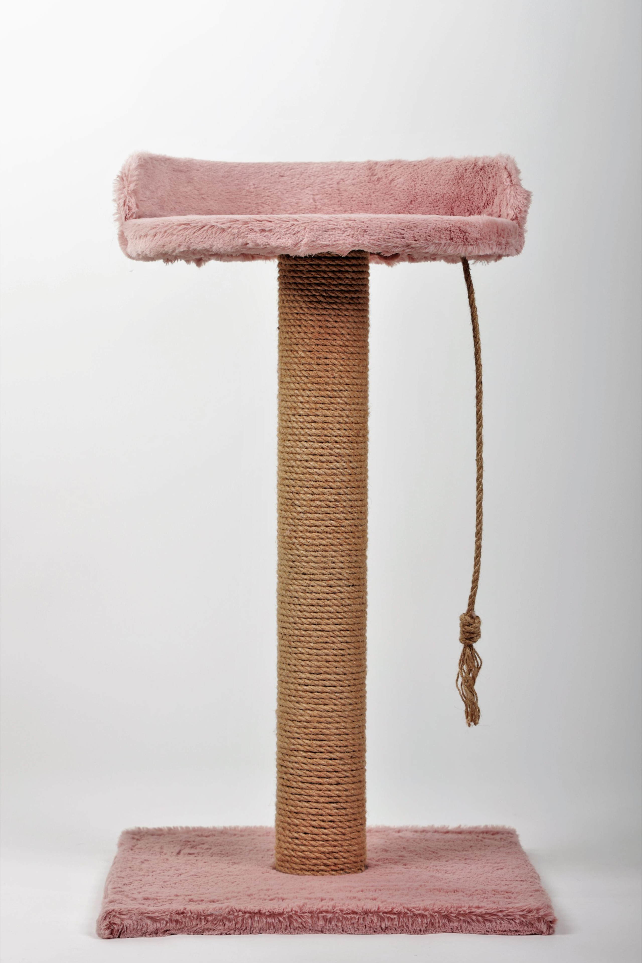 когтеточки