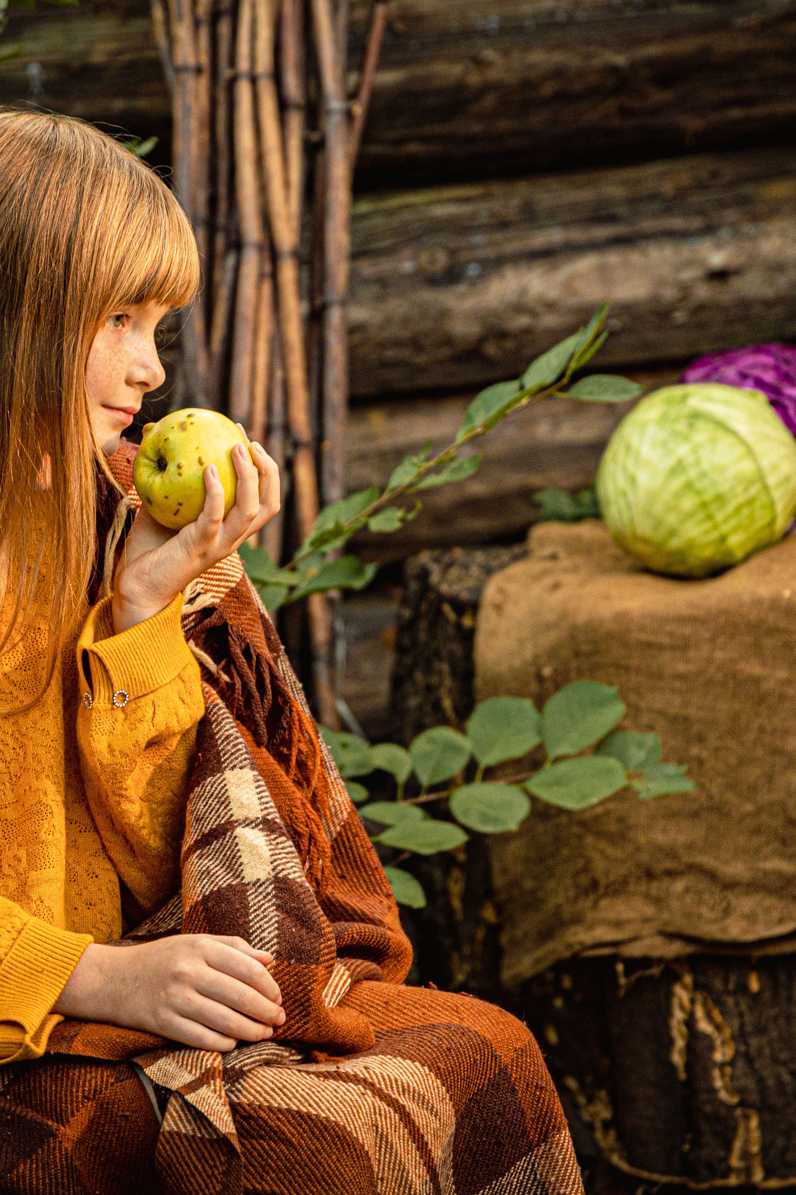Во дворе частного дома в Раменском
