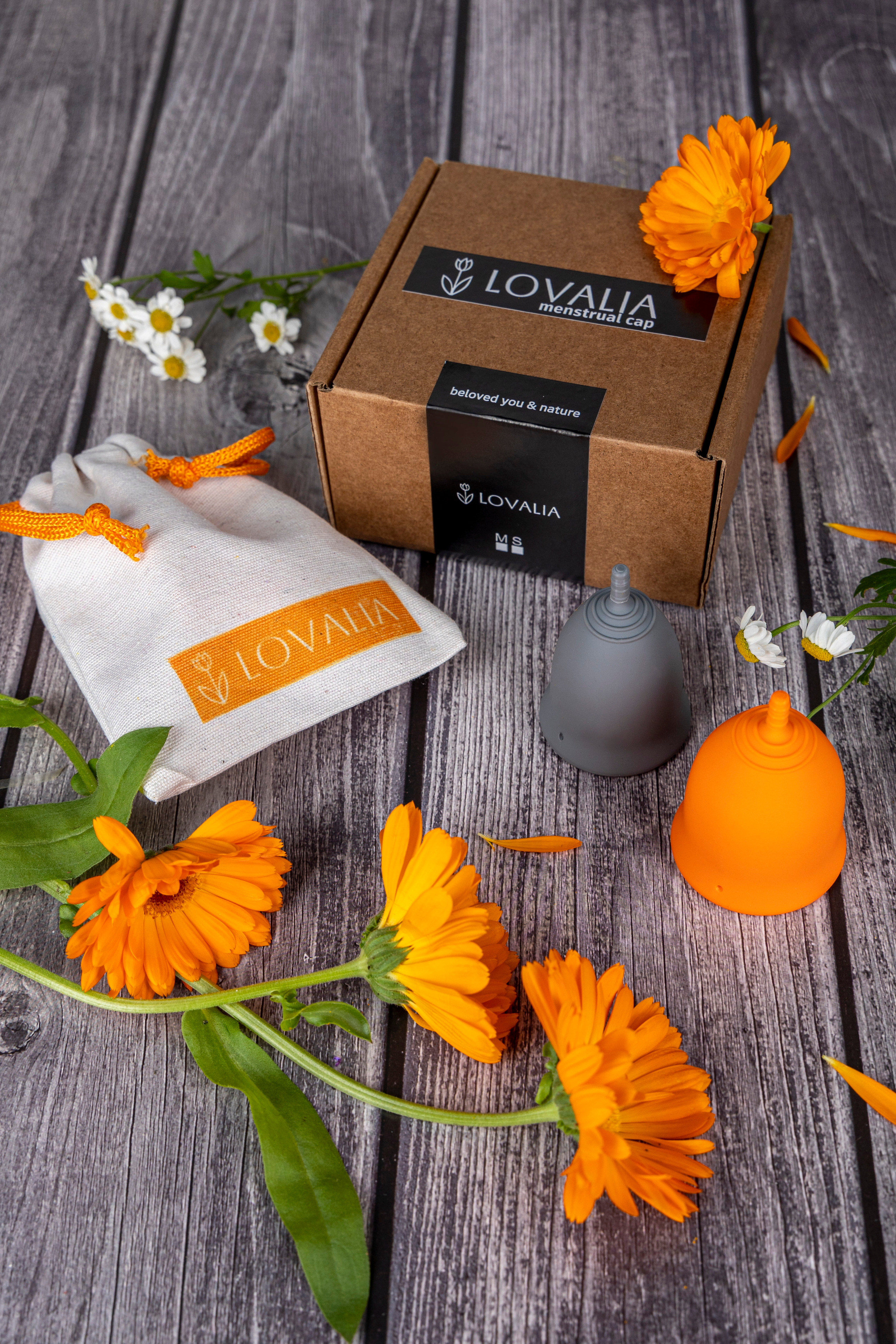 менструальные чаши