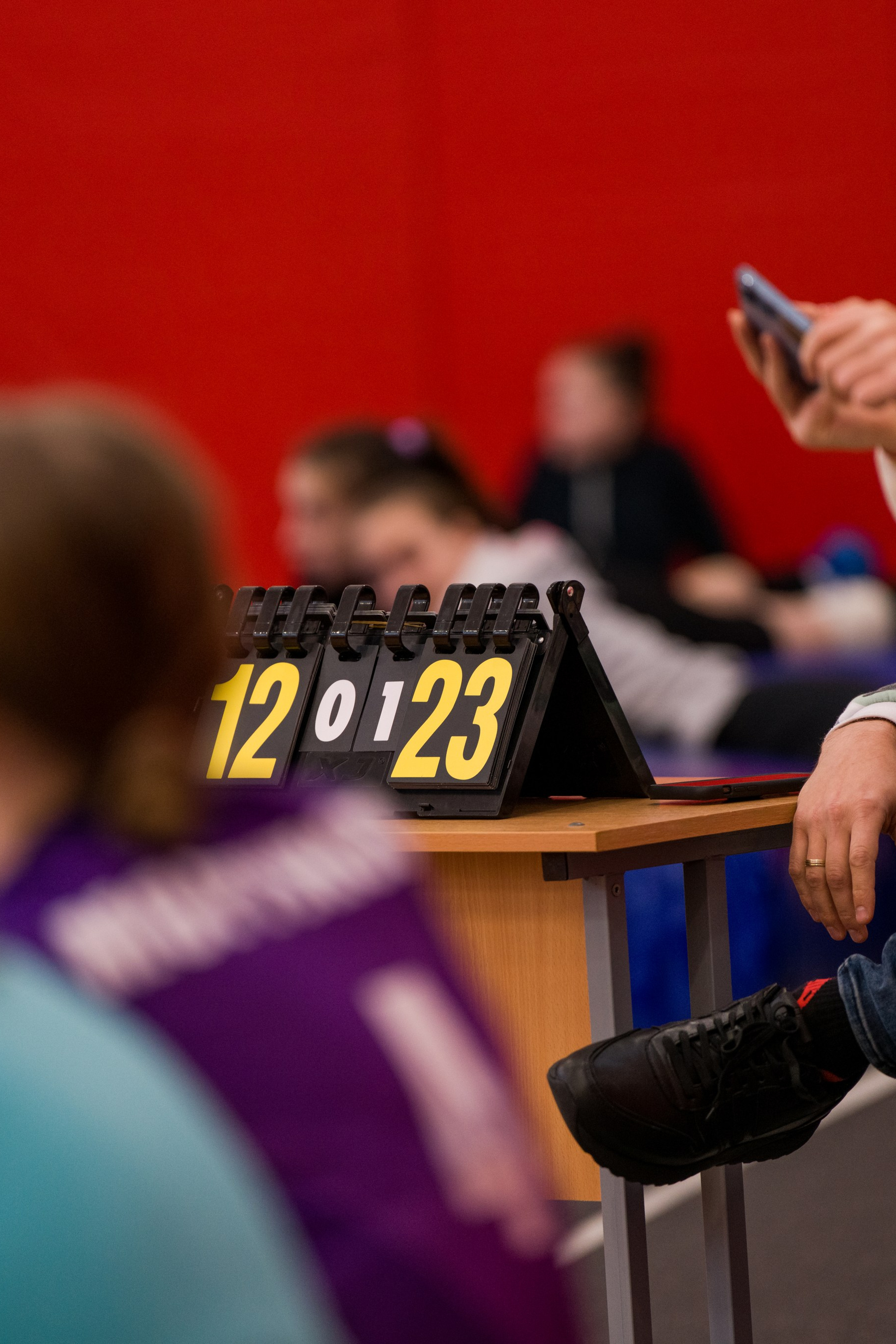 Брянская женская волейбольная лига (ЖВЛ)