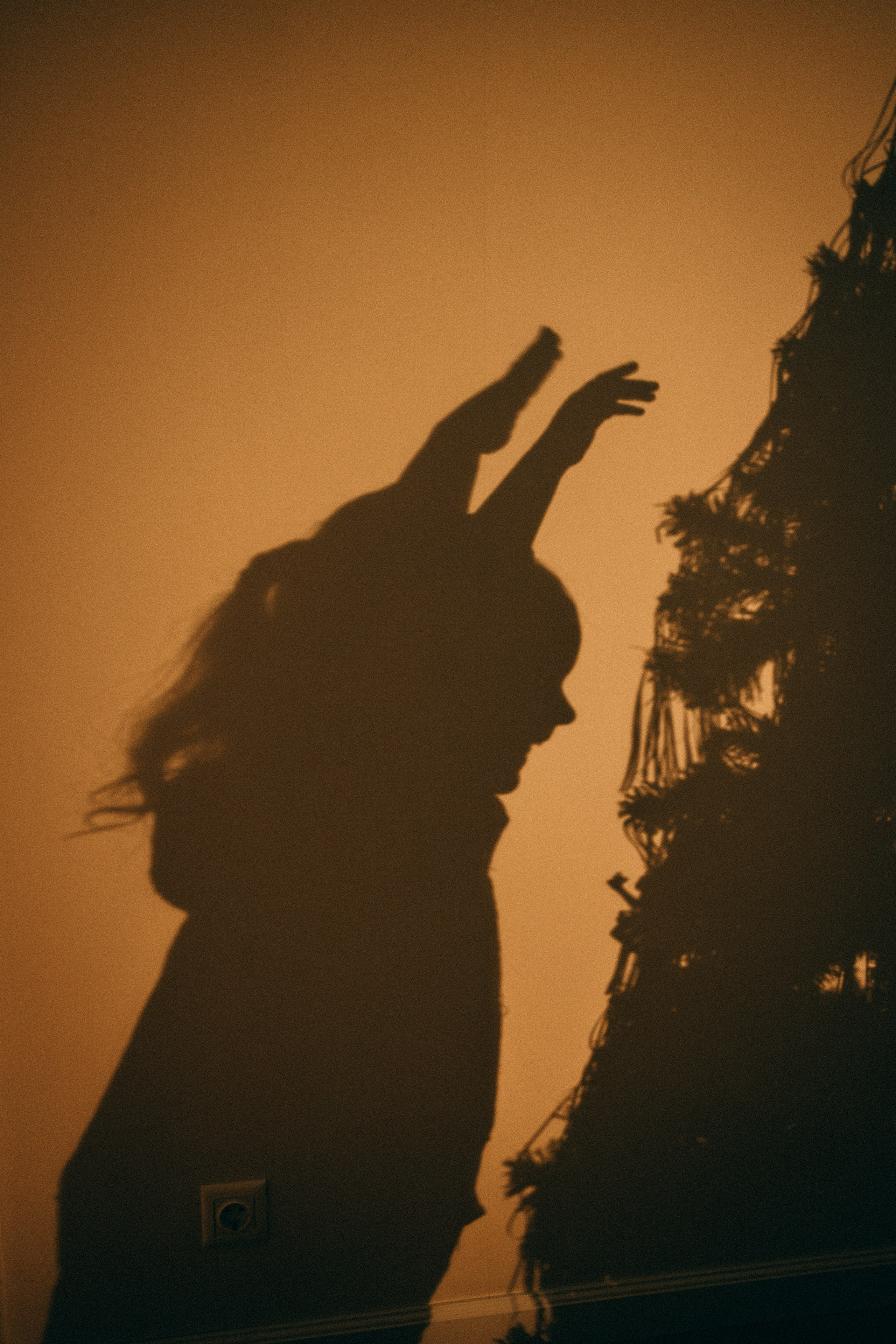 Домашние новогодние истории