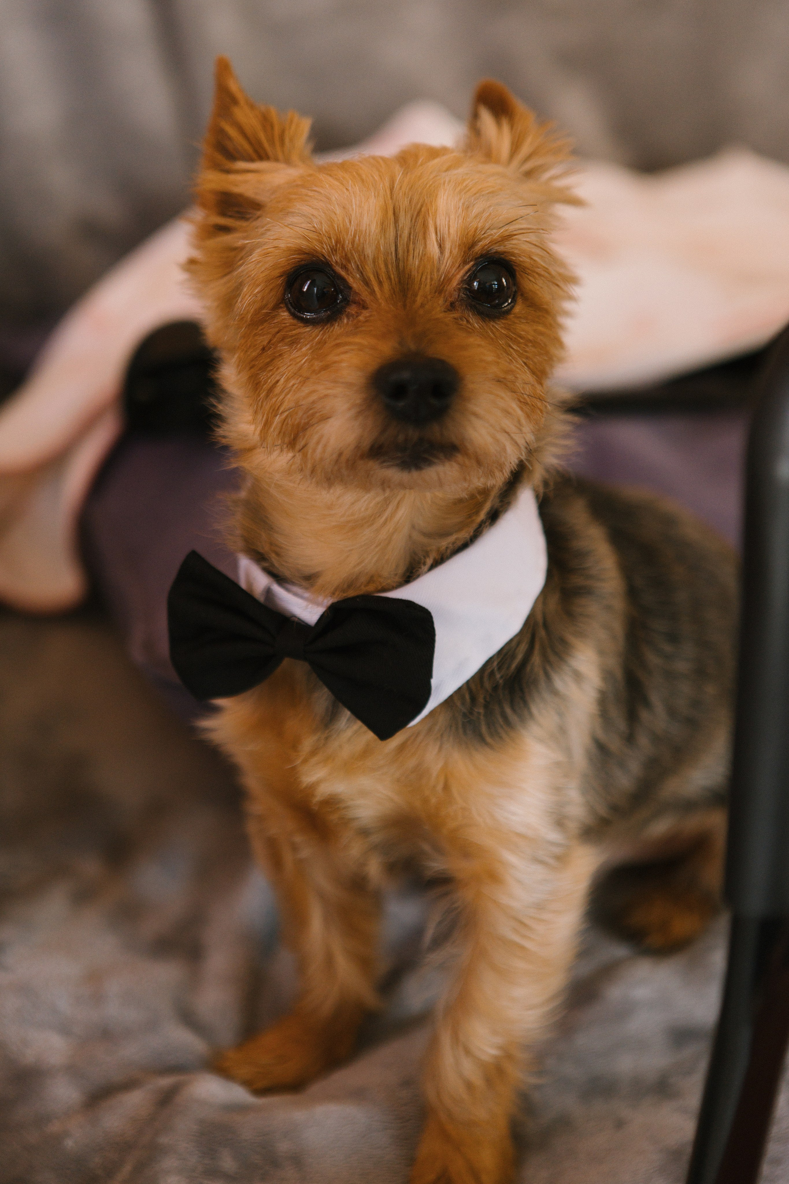 T&S. Фотограф Санкт-Петербург